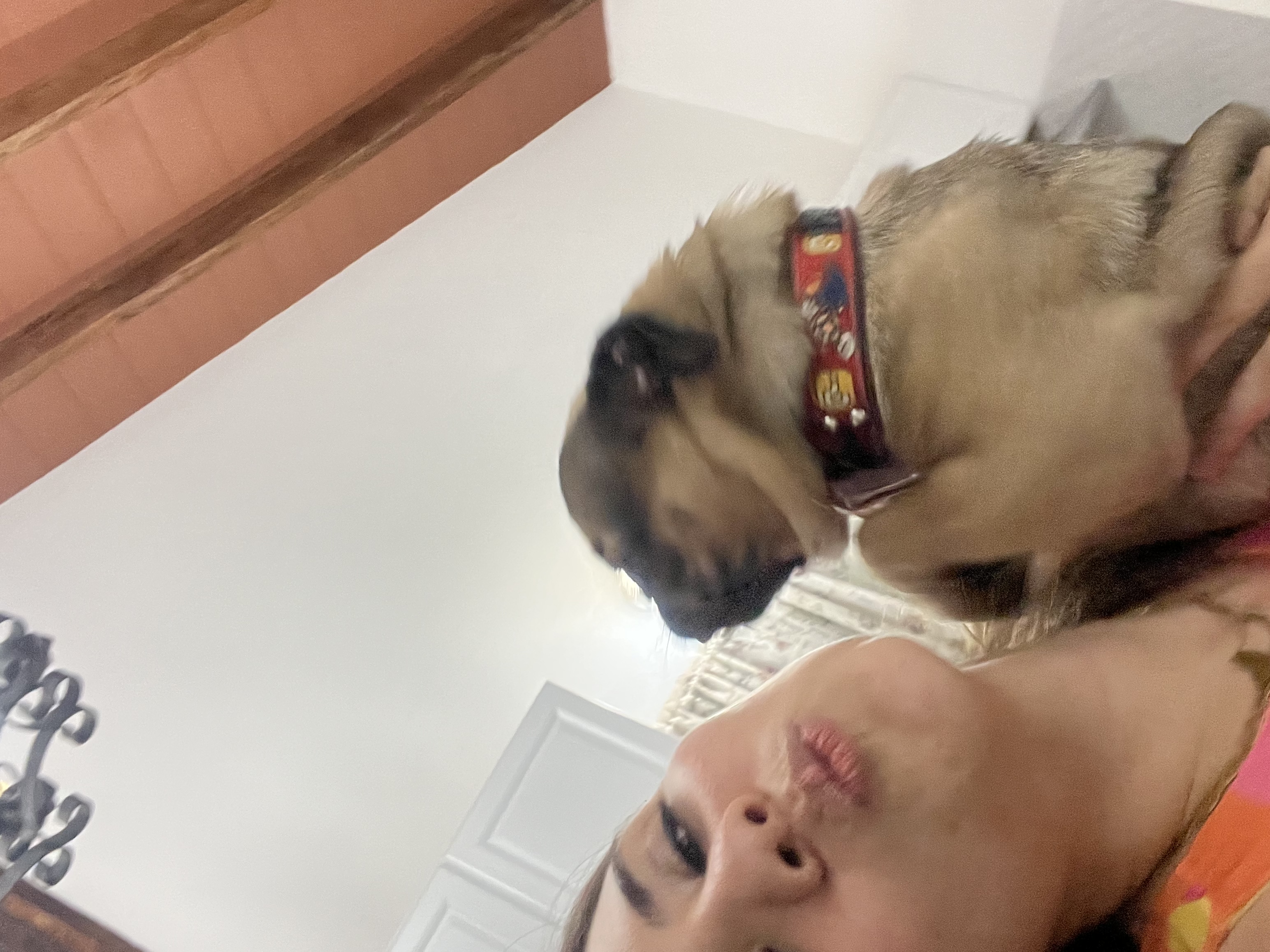 image-6