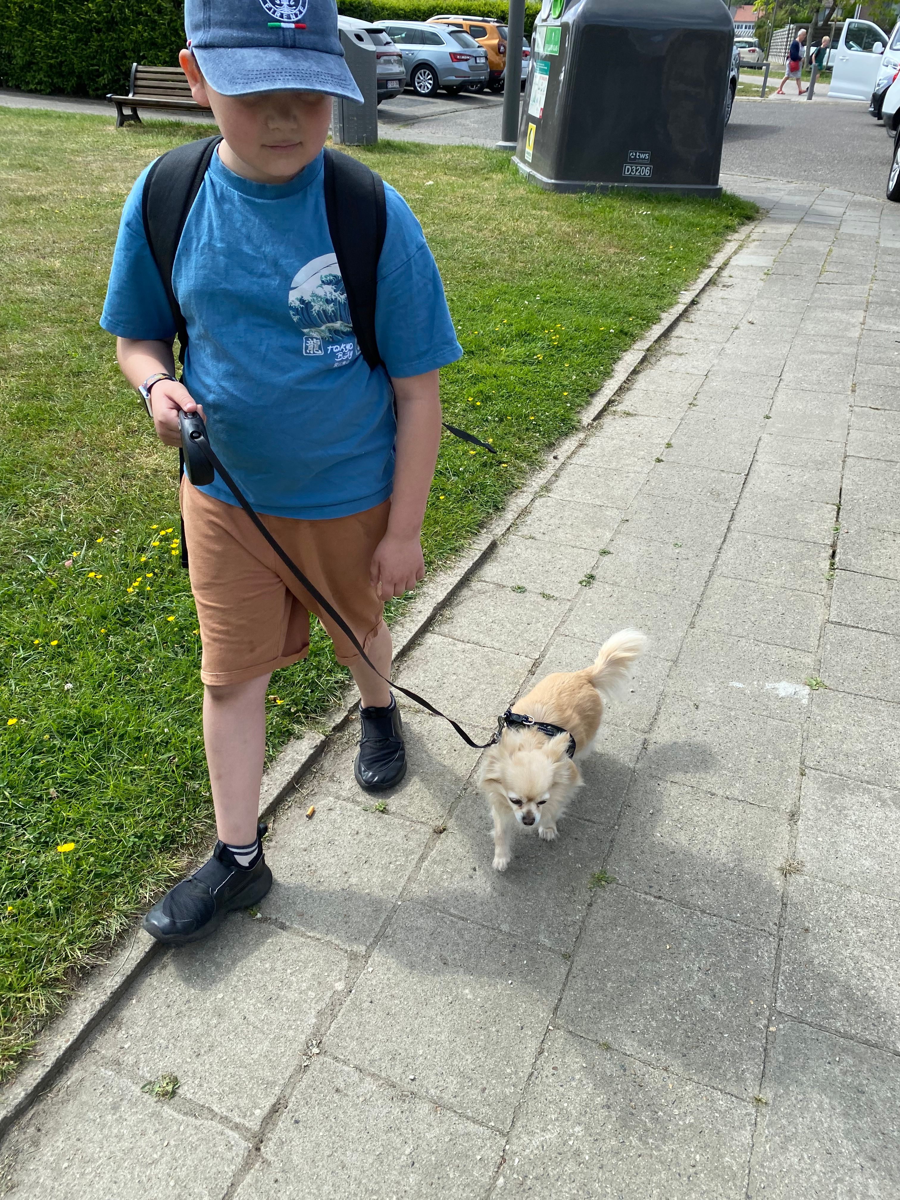 image-18
