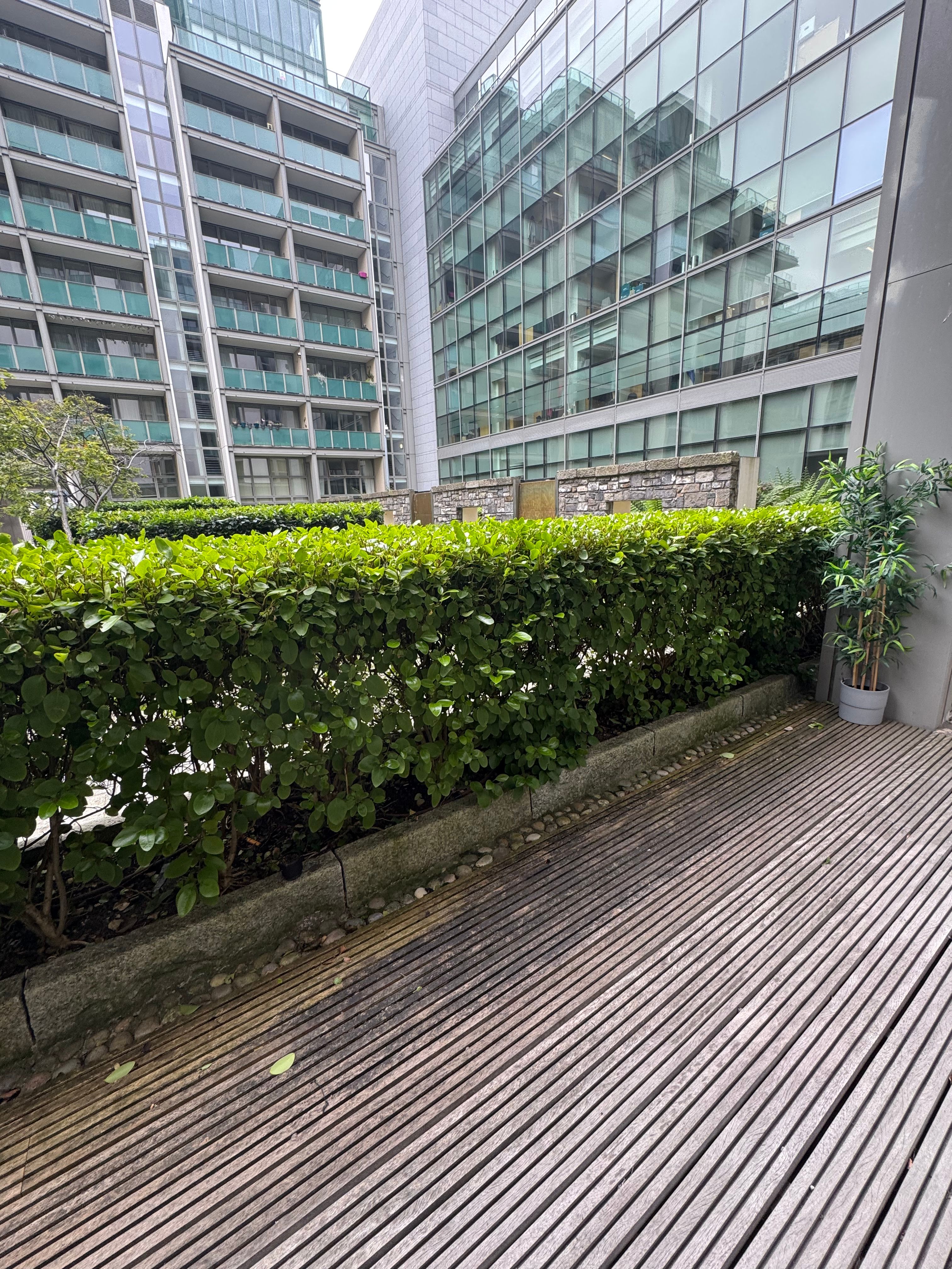 image-19