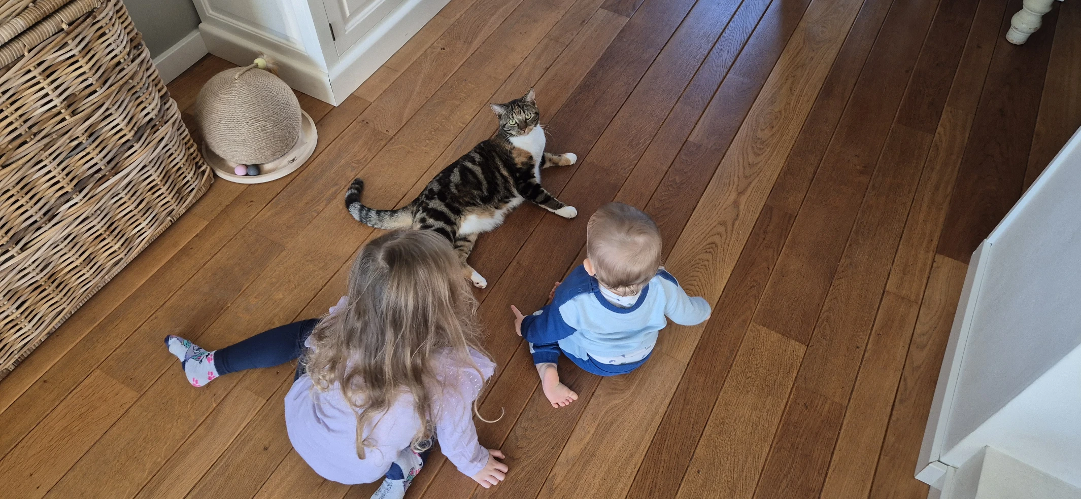 image-12