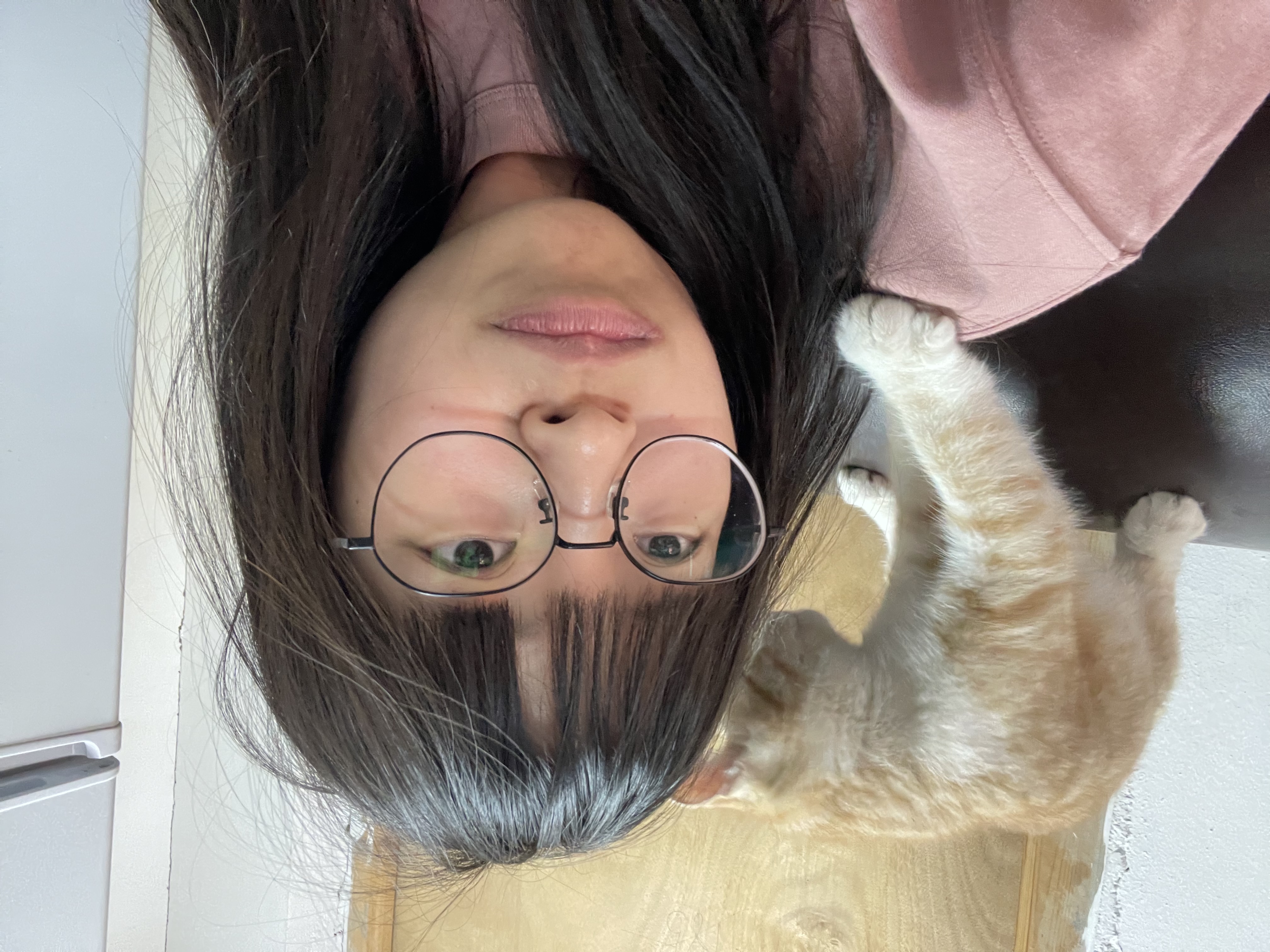 image-3