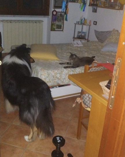 image-20