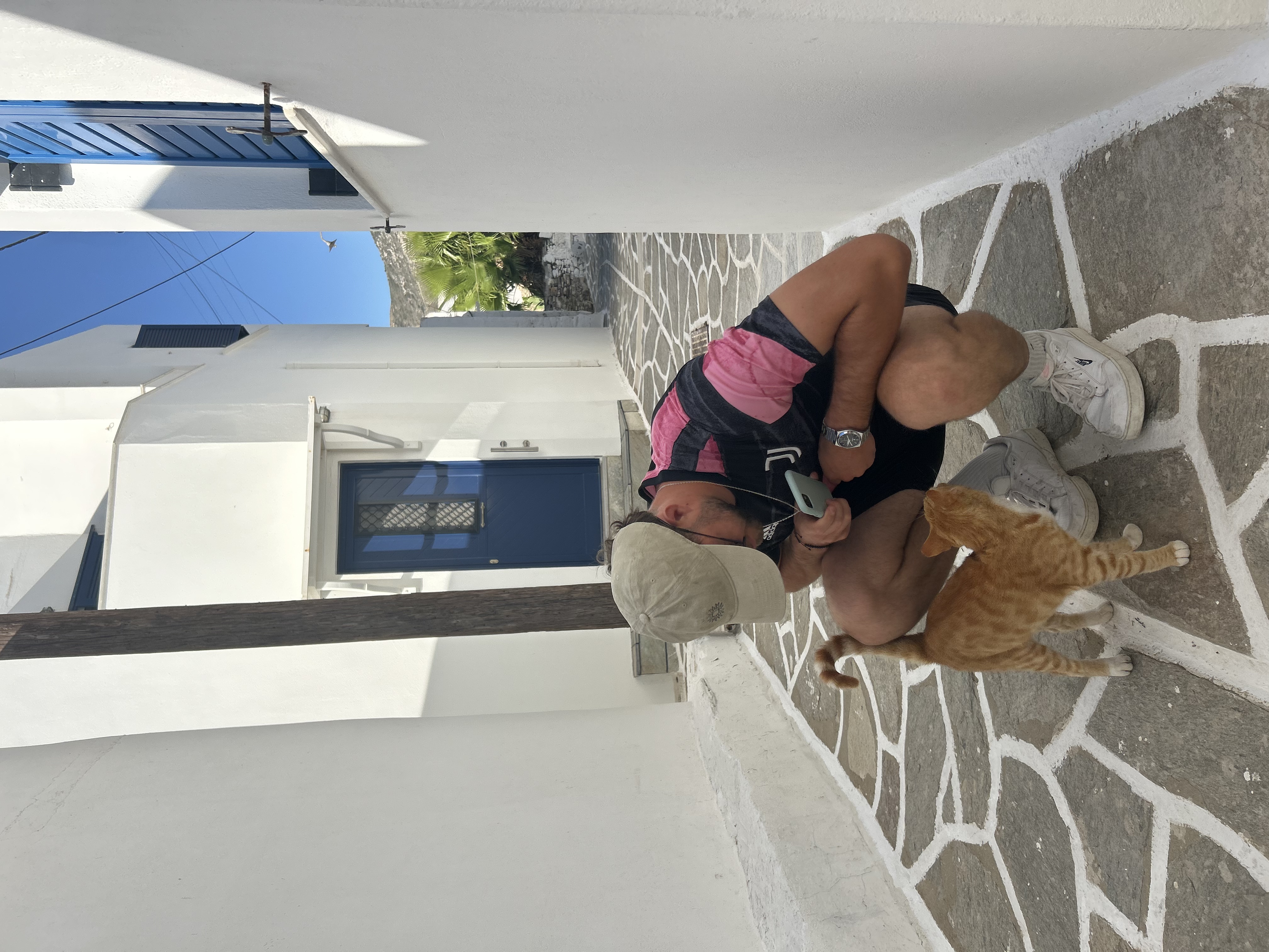 image-4