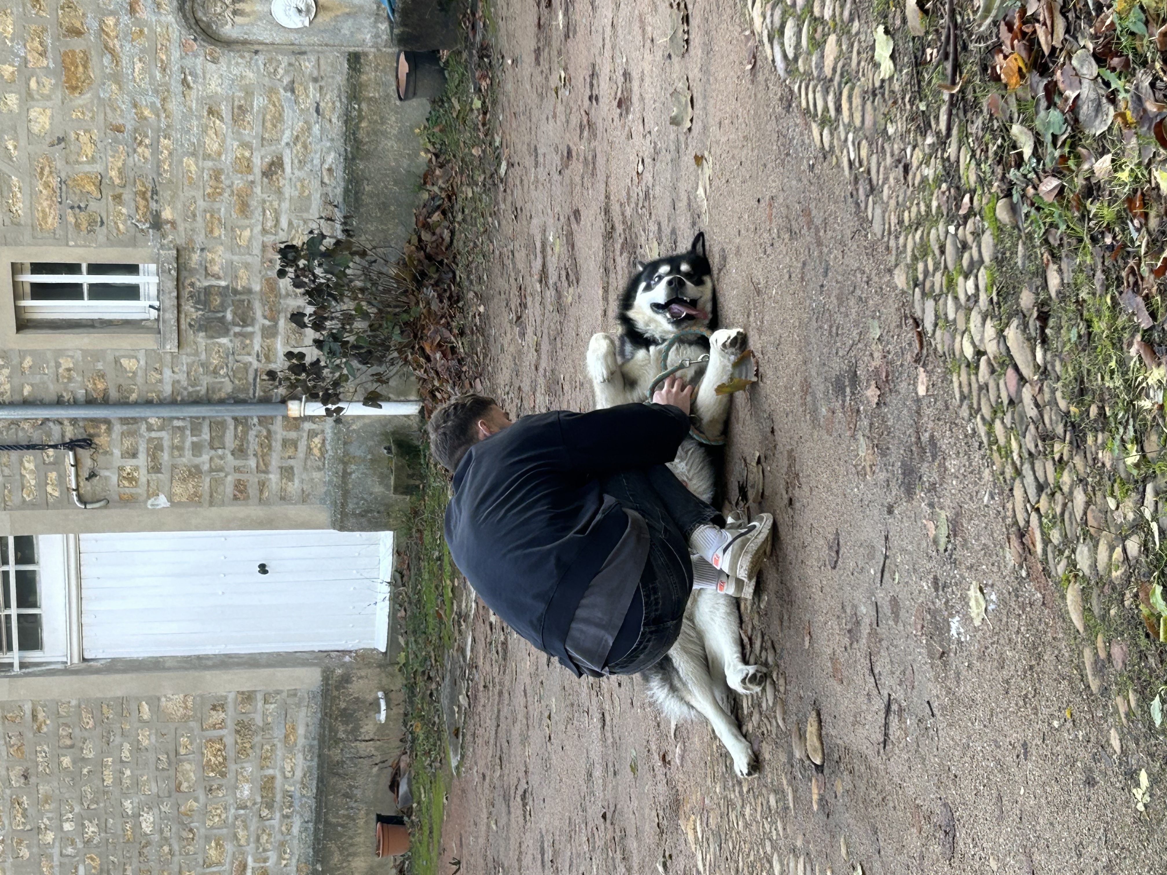 image-13