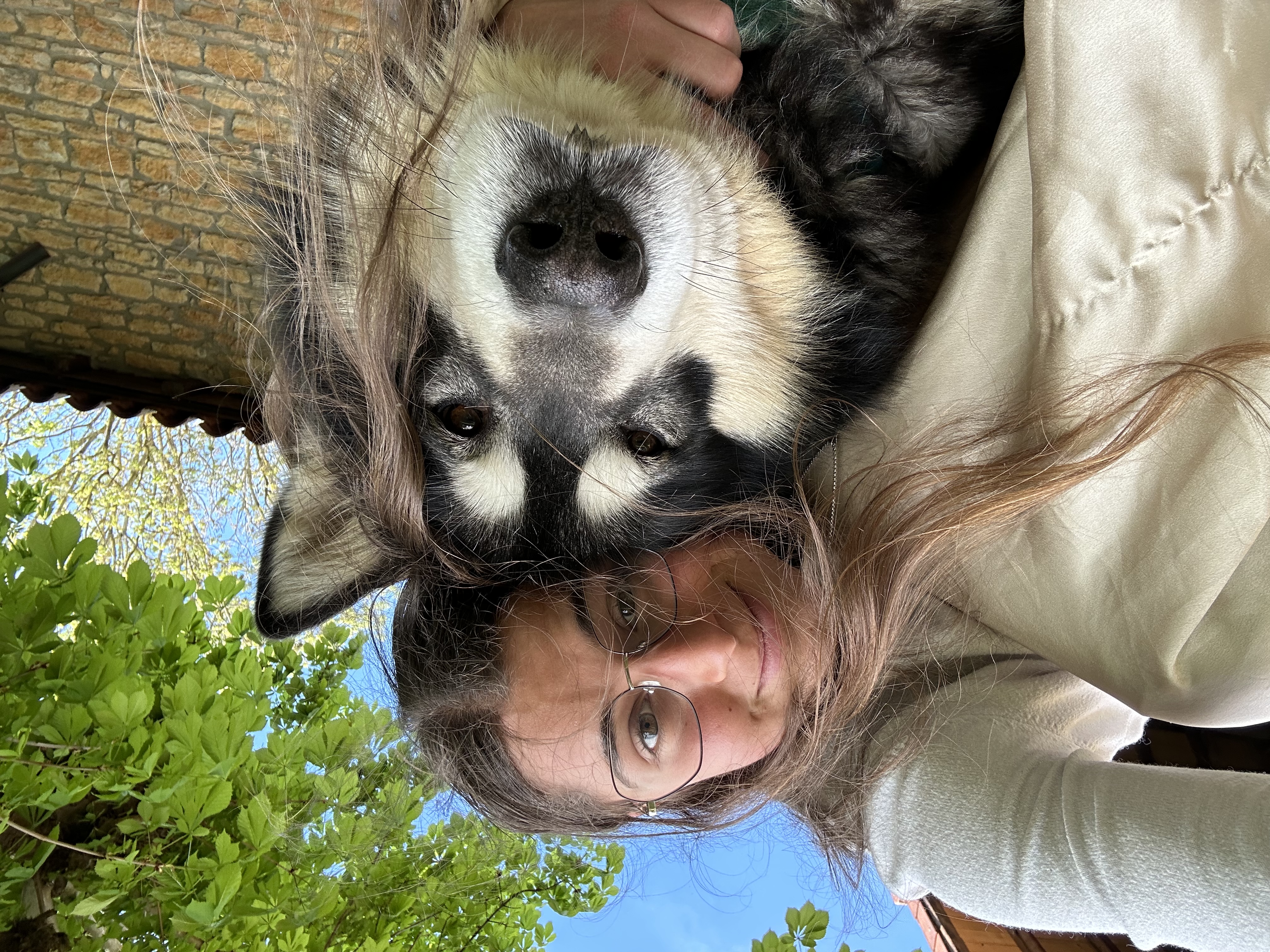 image-9