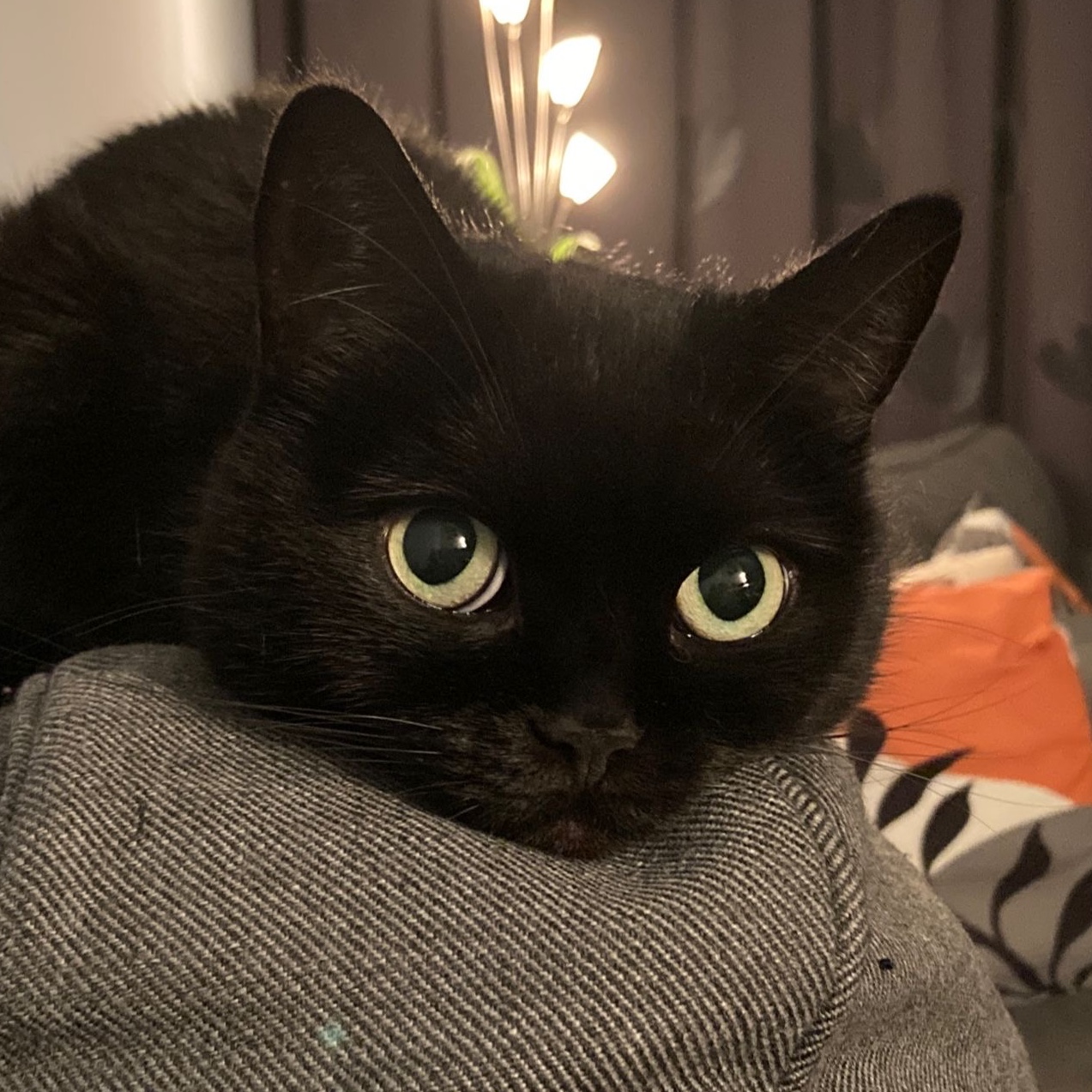 Saskia