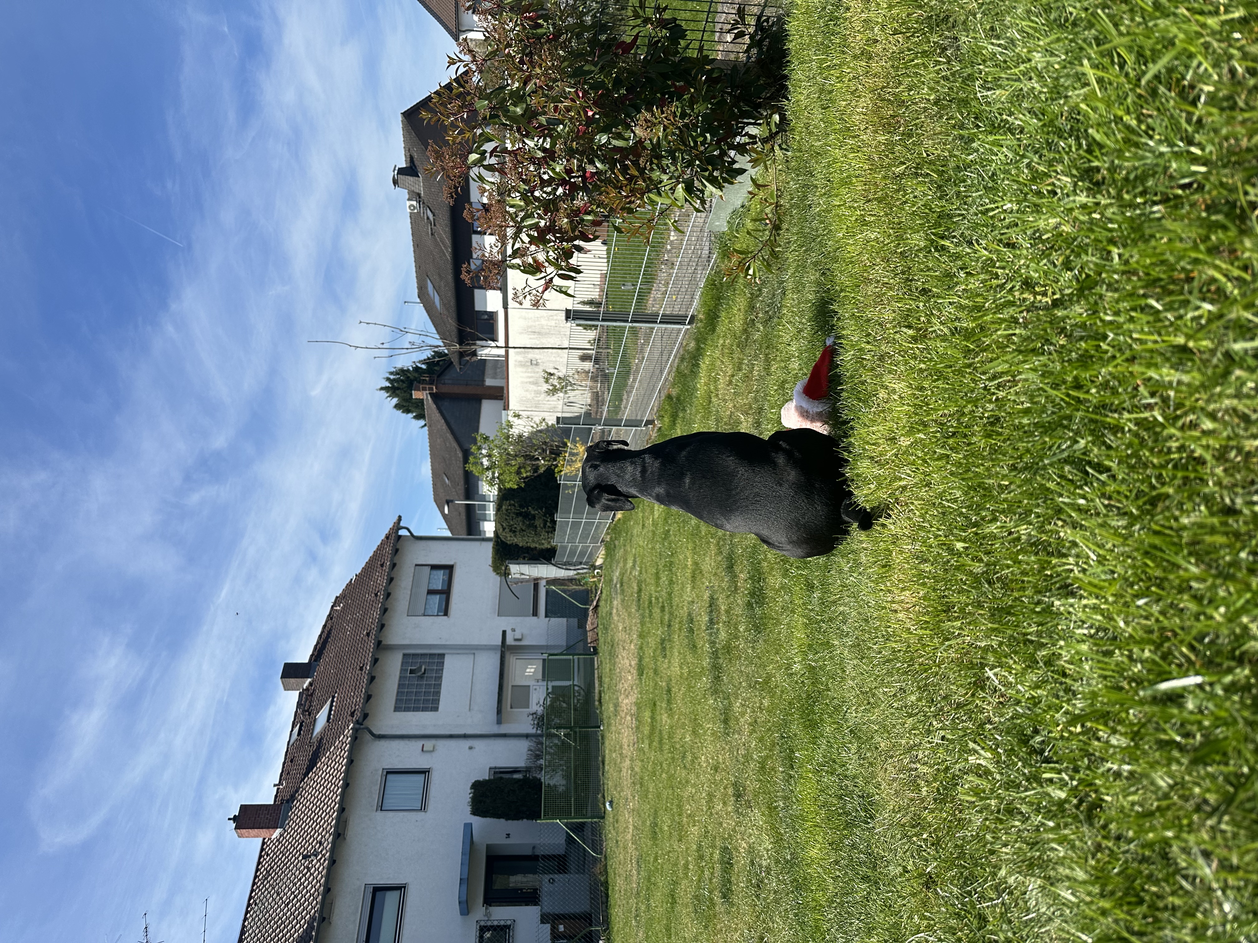 image-22