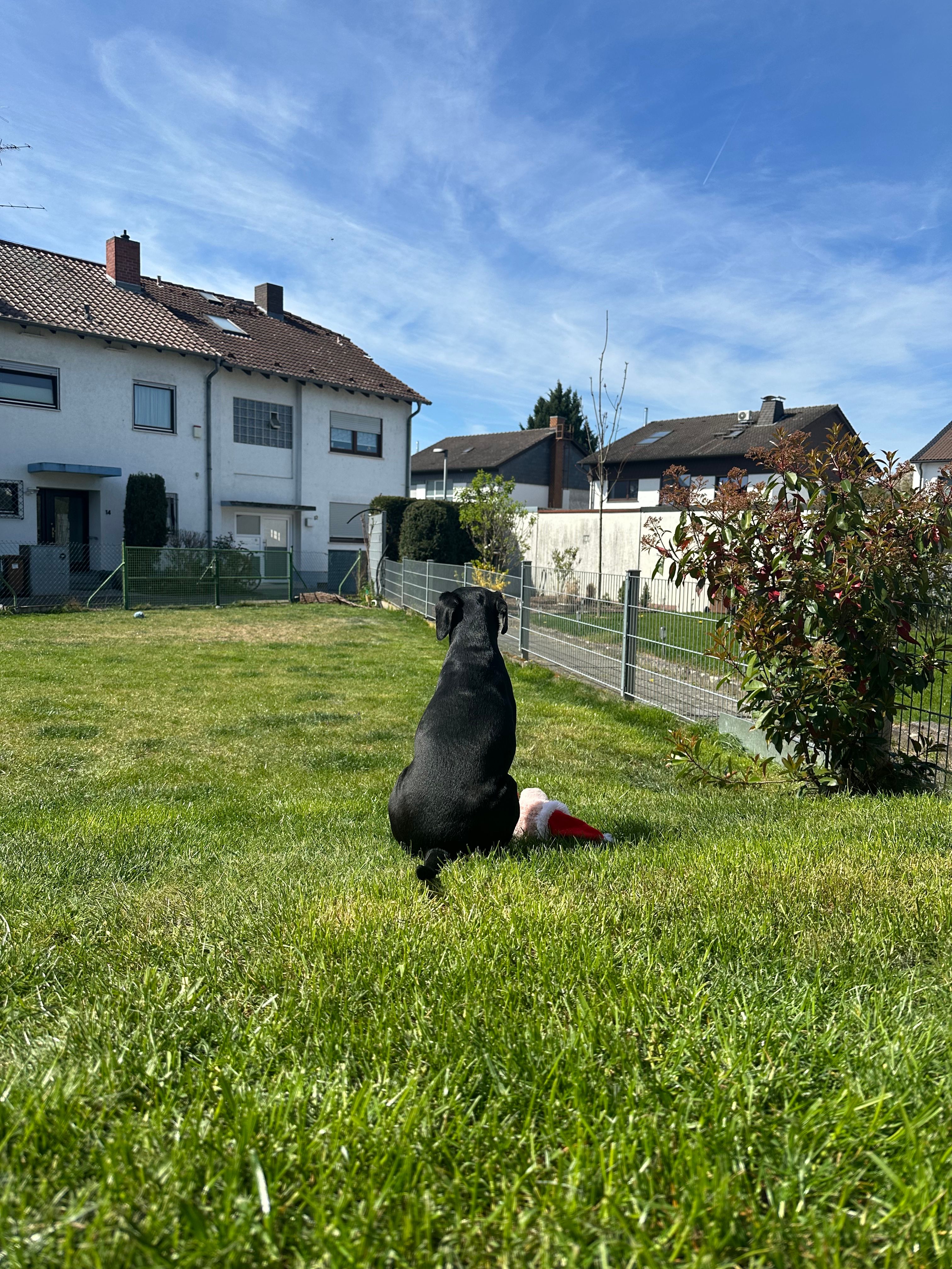 image-22