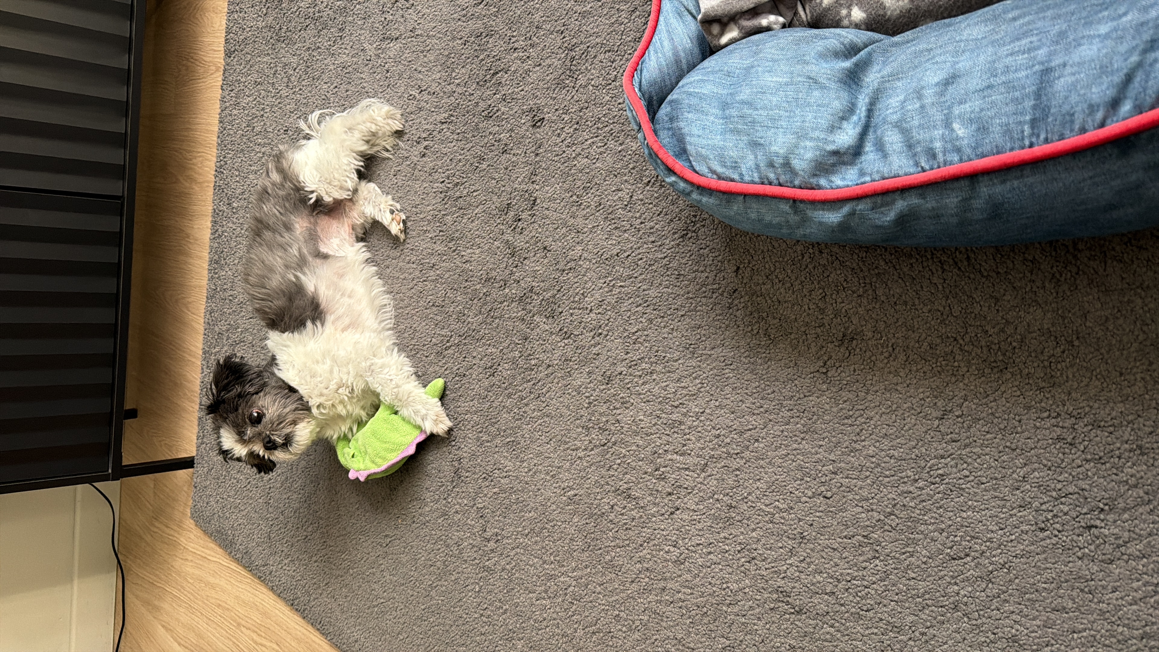 image-8