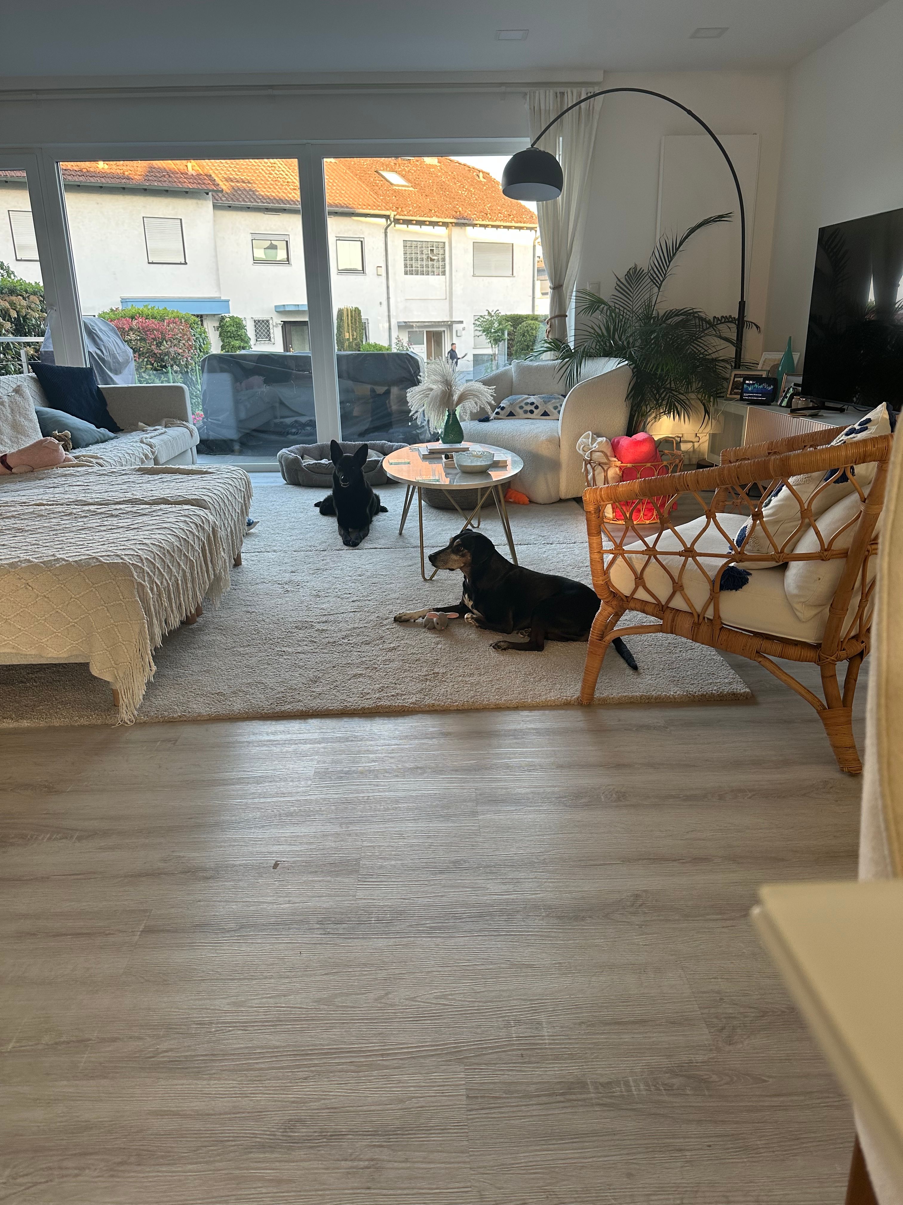 image-18