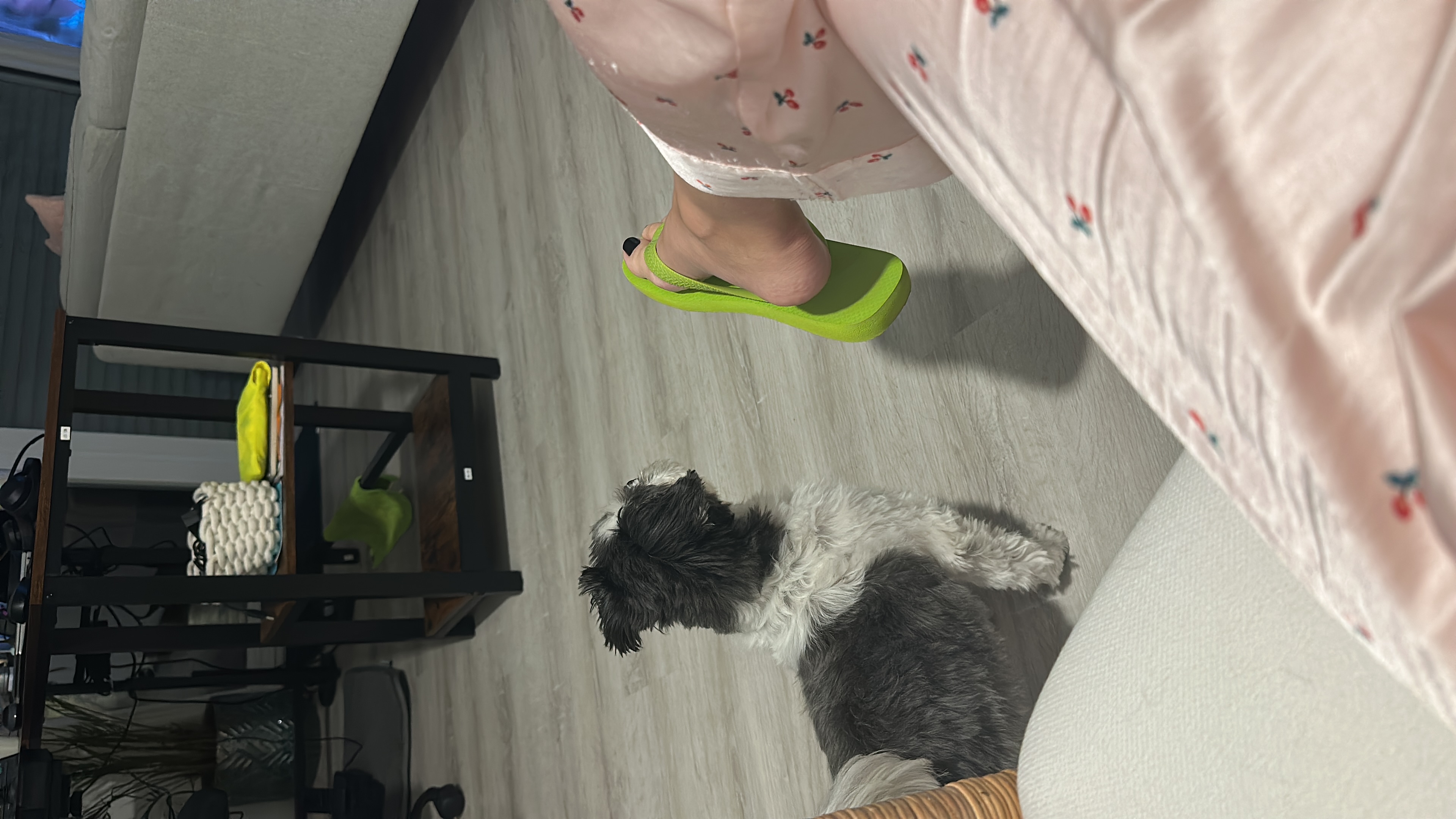image-12