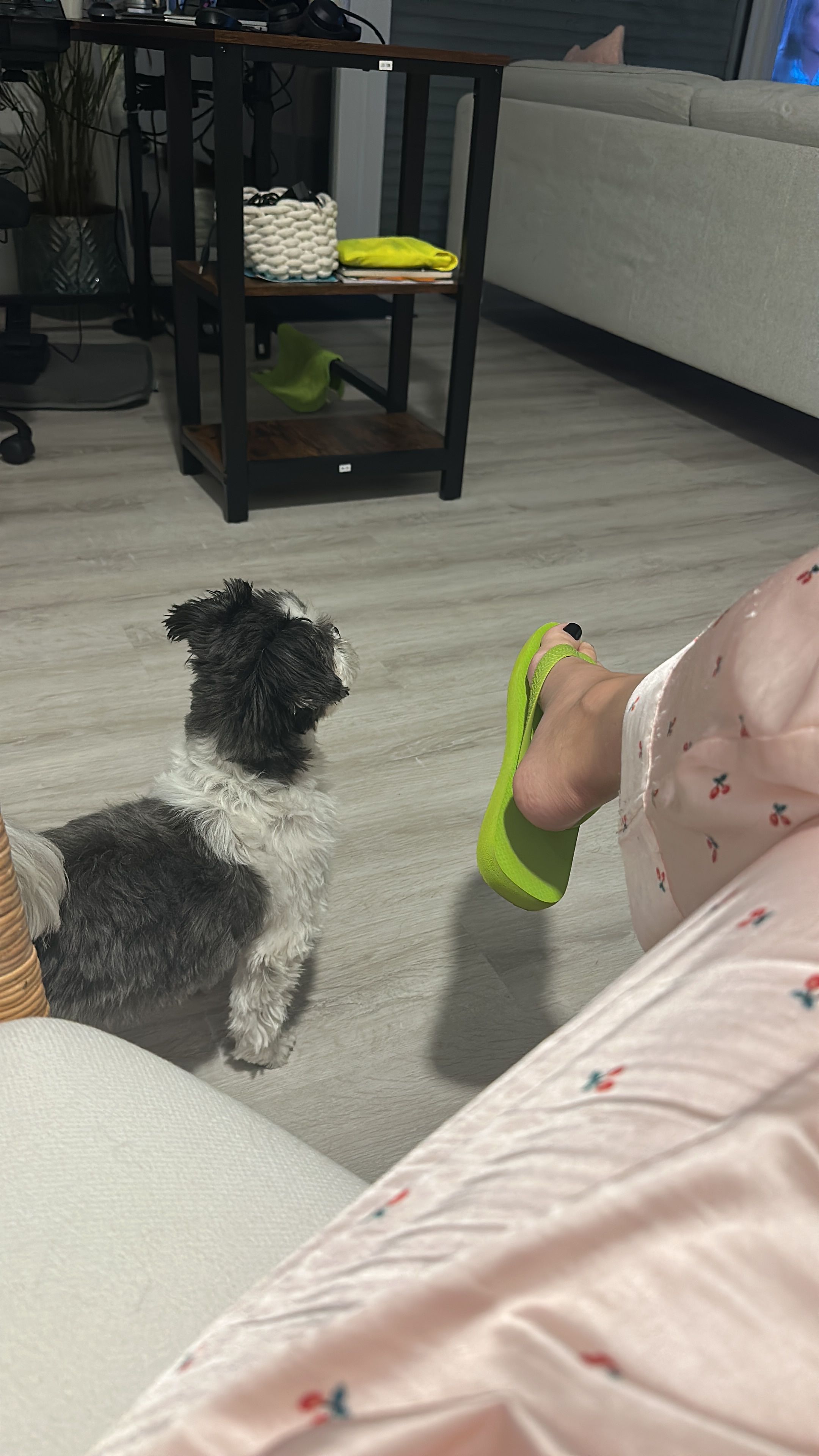 image-12