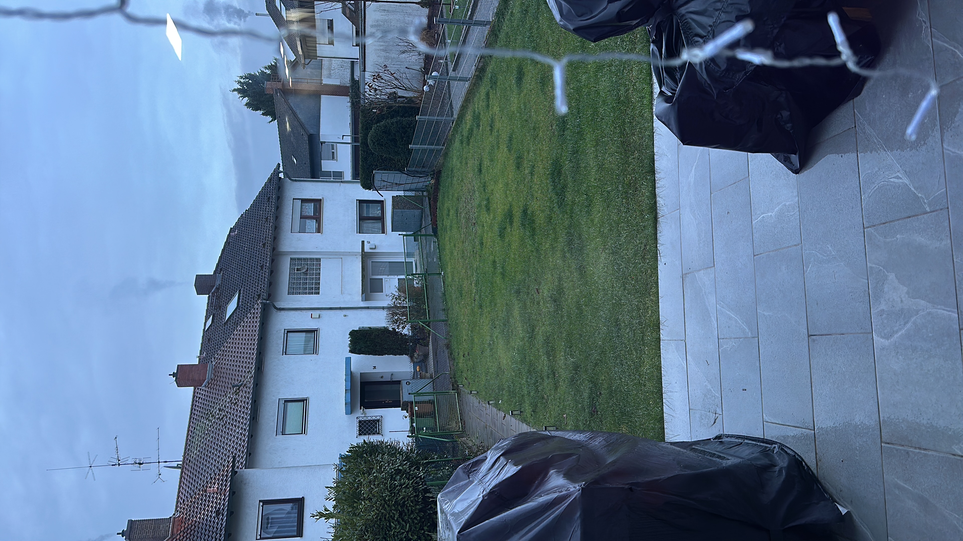 image-21