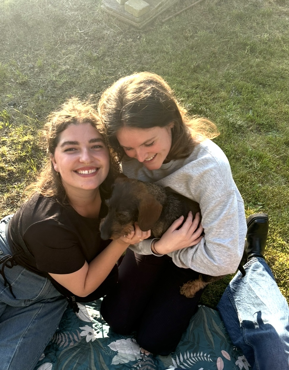 image-6