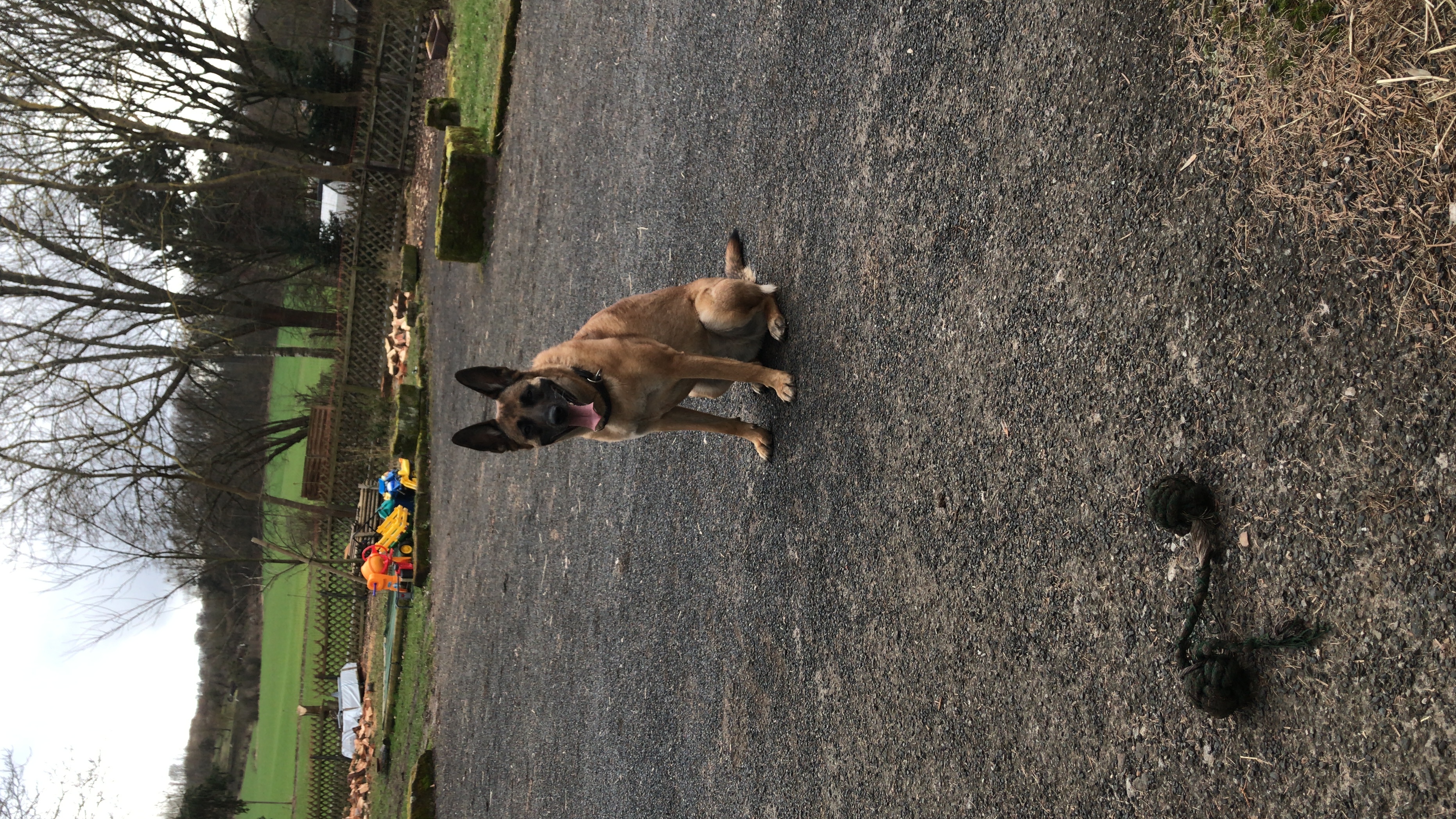 image-8
