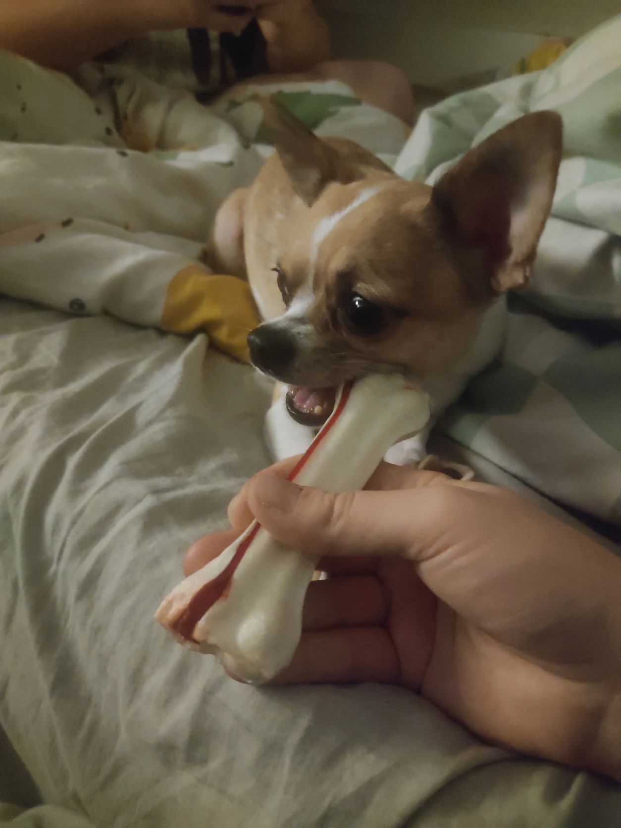 image-6