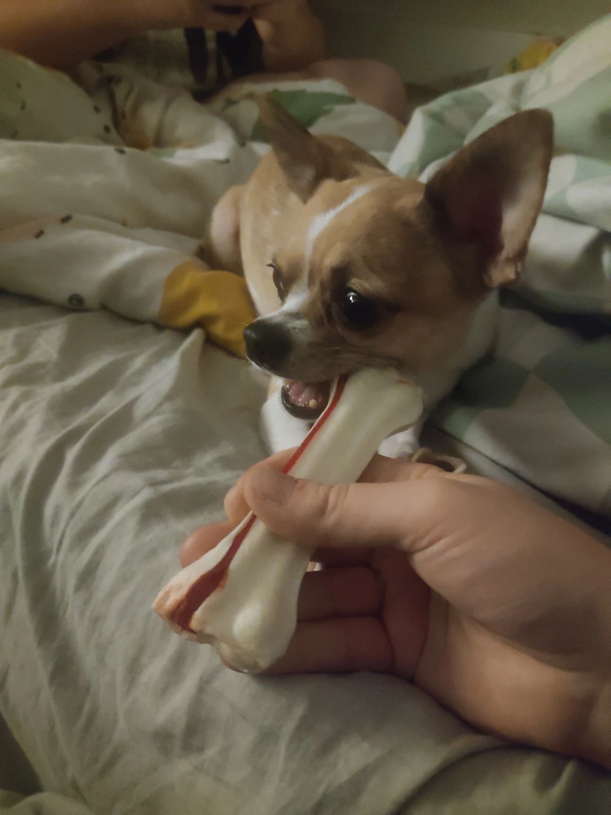 image-6