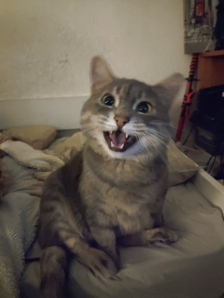 Arya