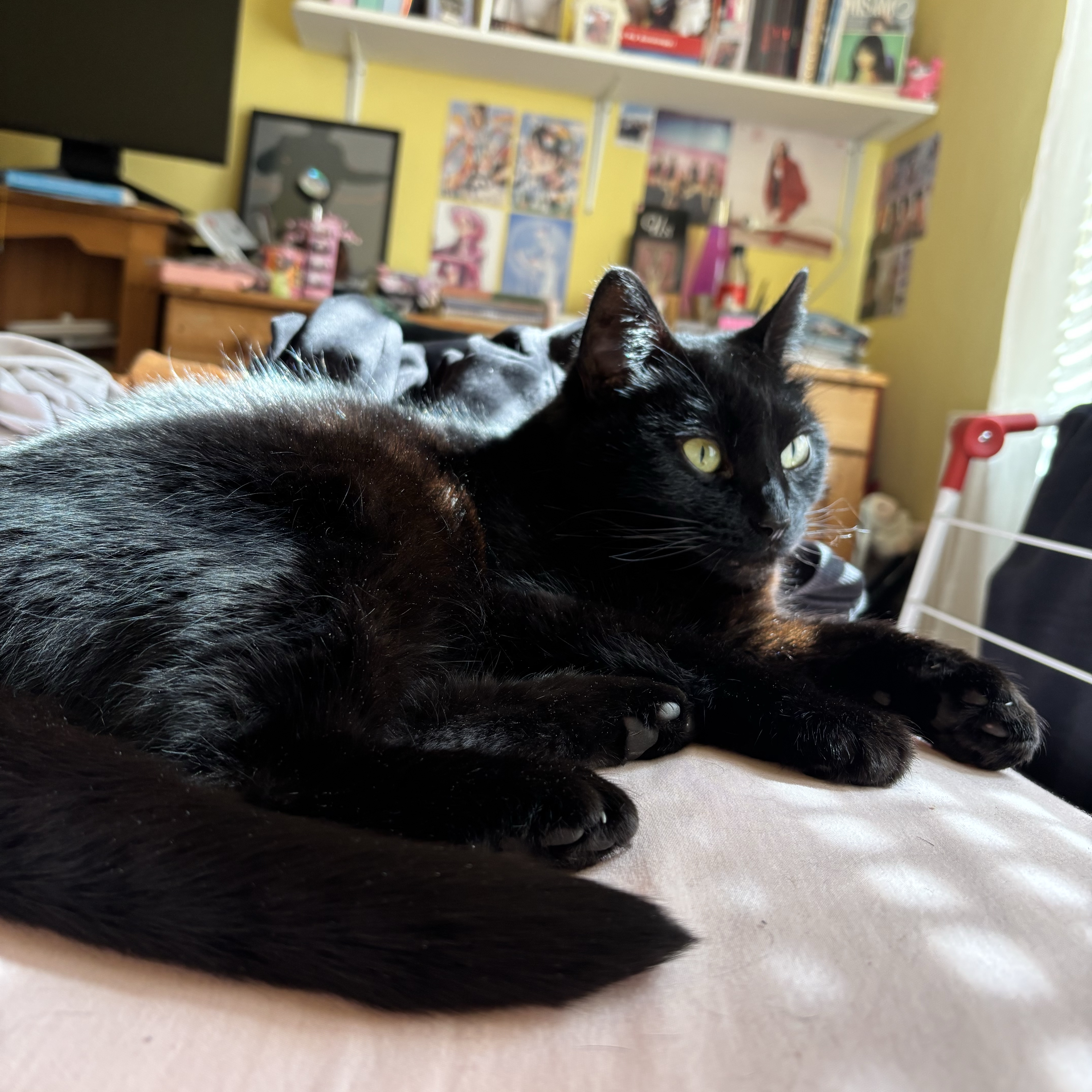 Luna