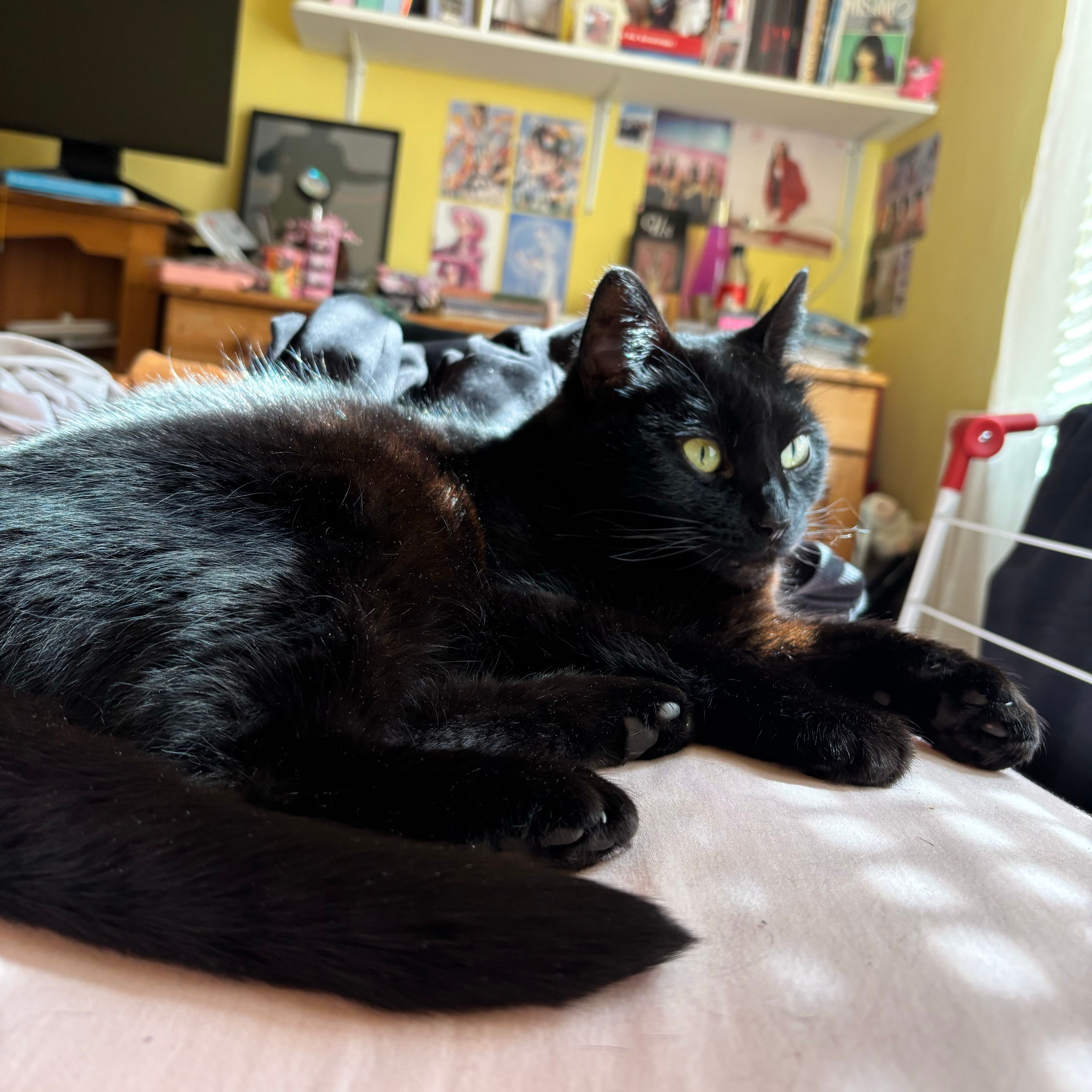 Luna