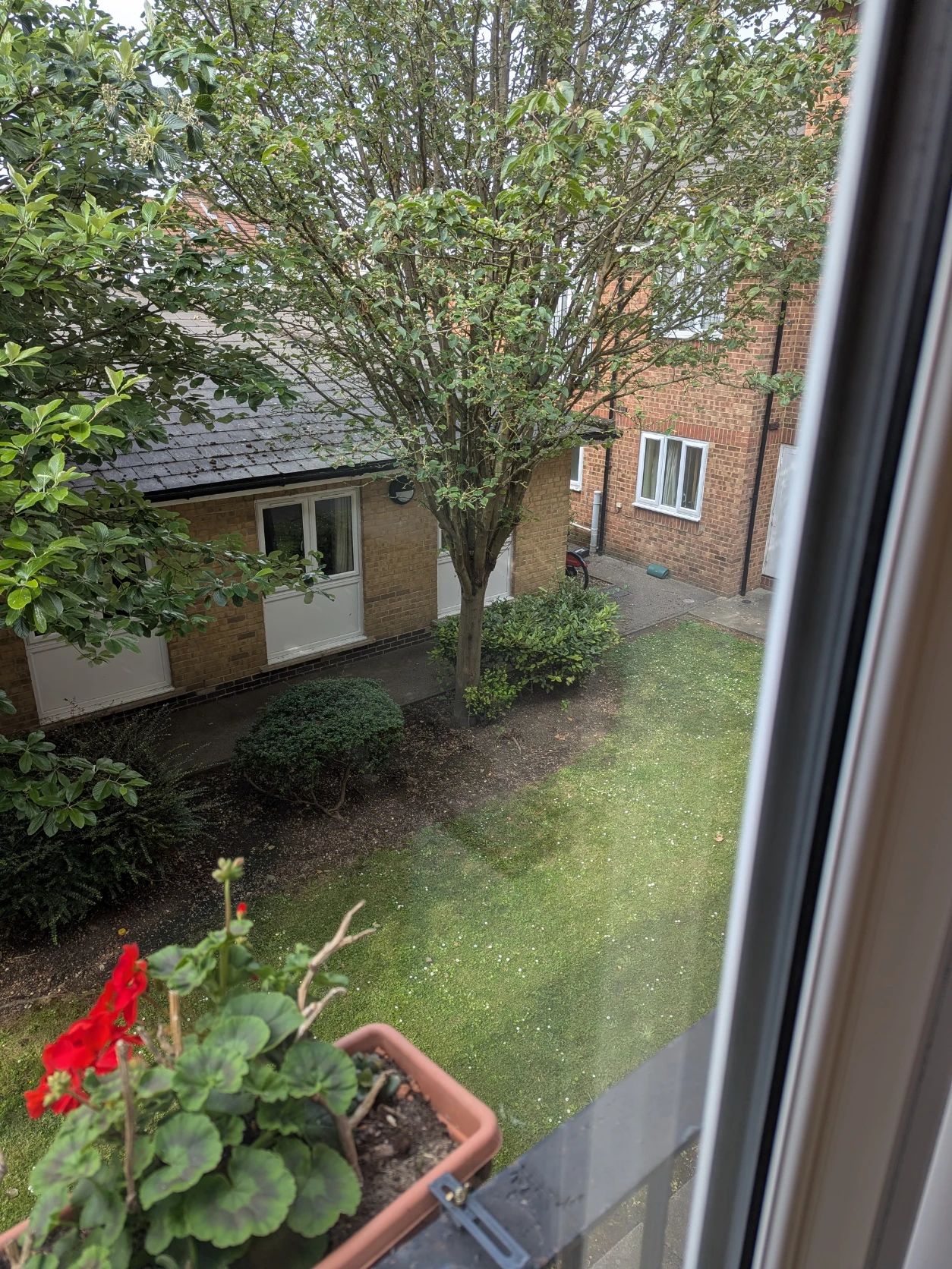 image-24