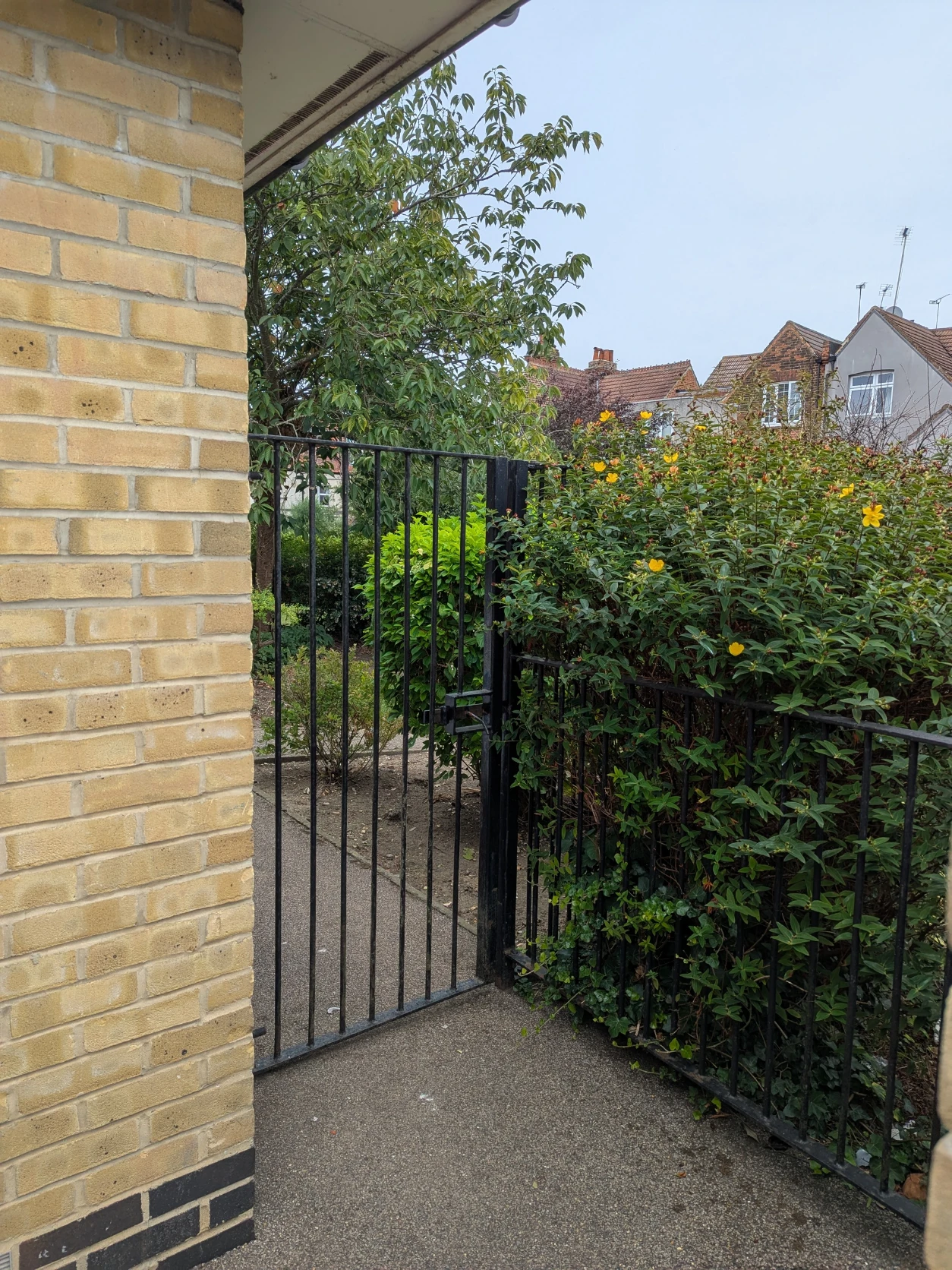 image-35
