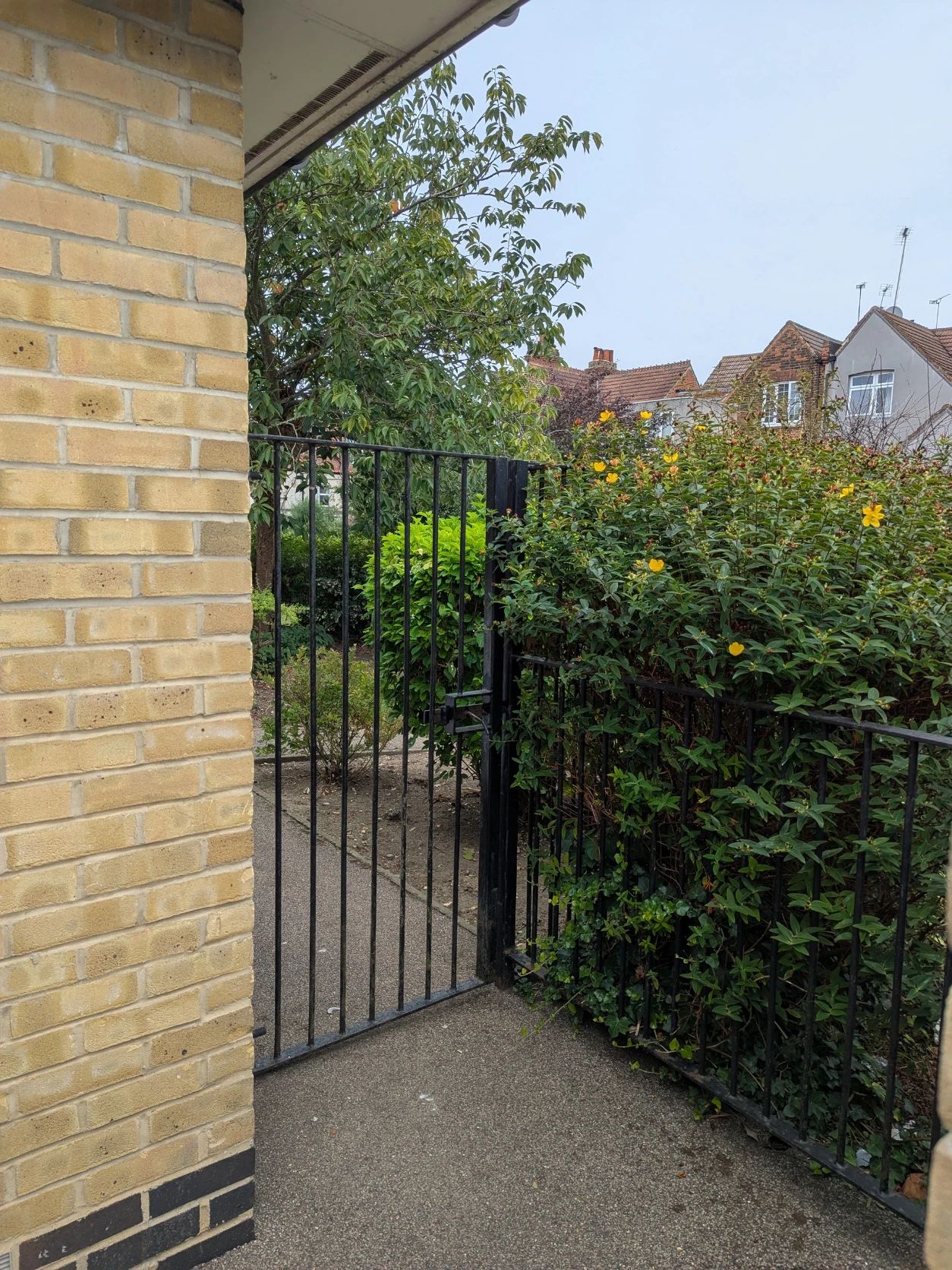 image-35