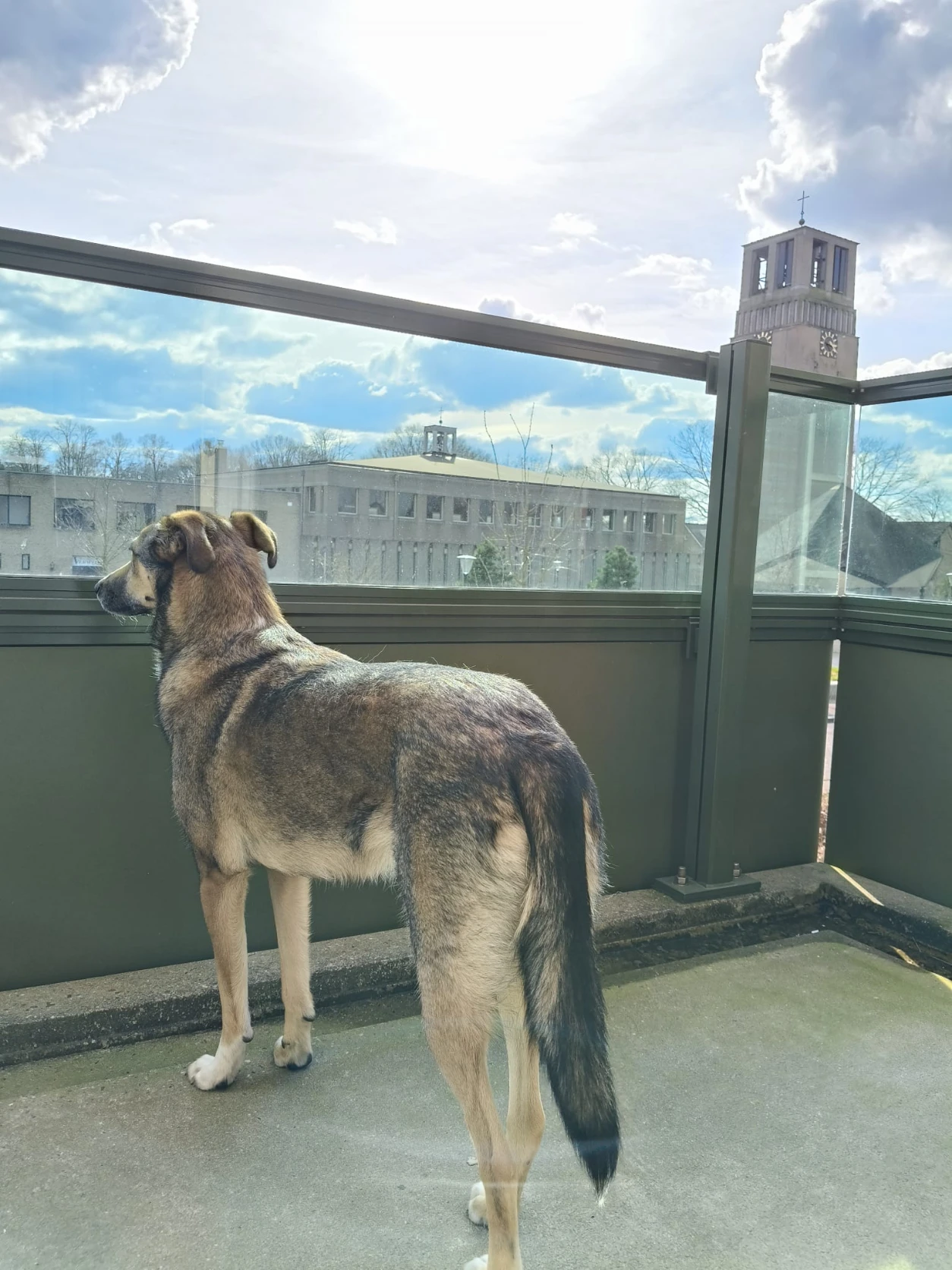 image-7