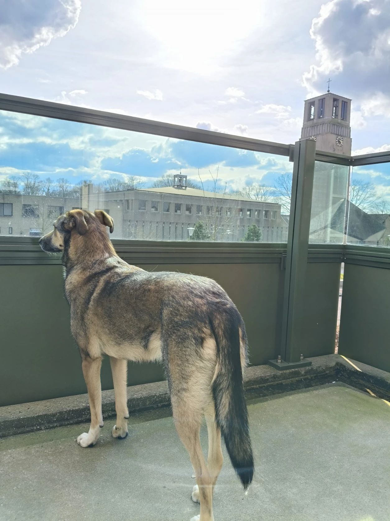 image-7