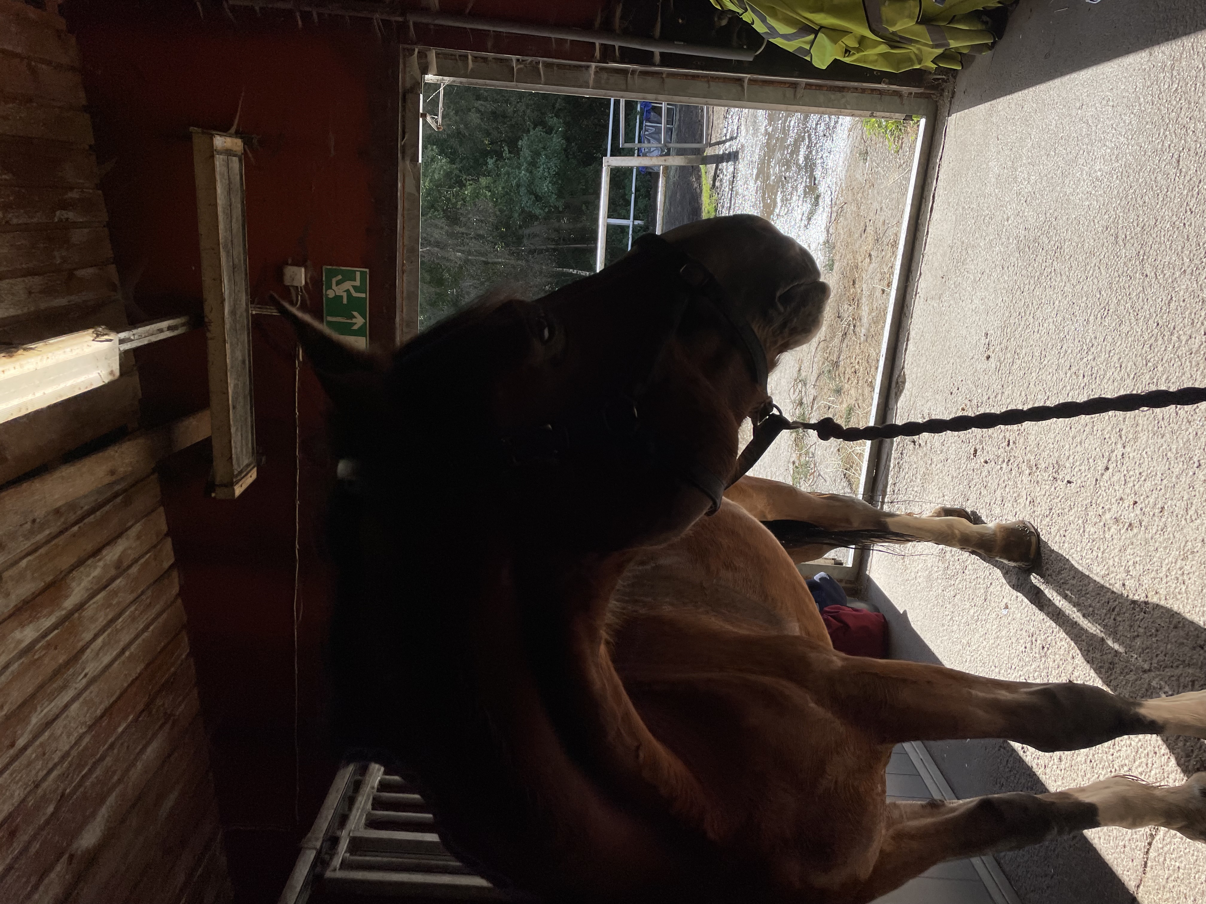 image-5