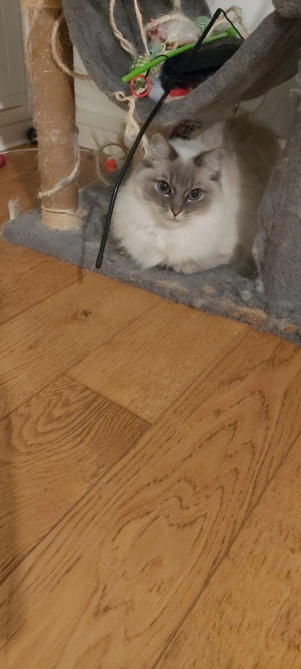 image-12