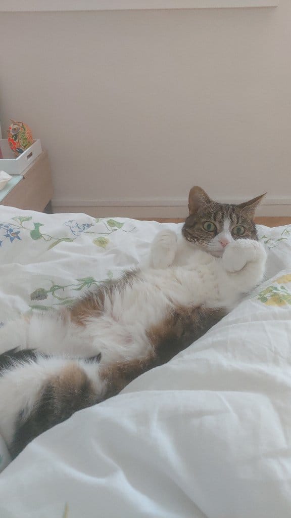 Nina