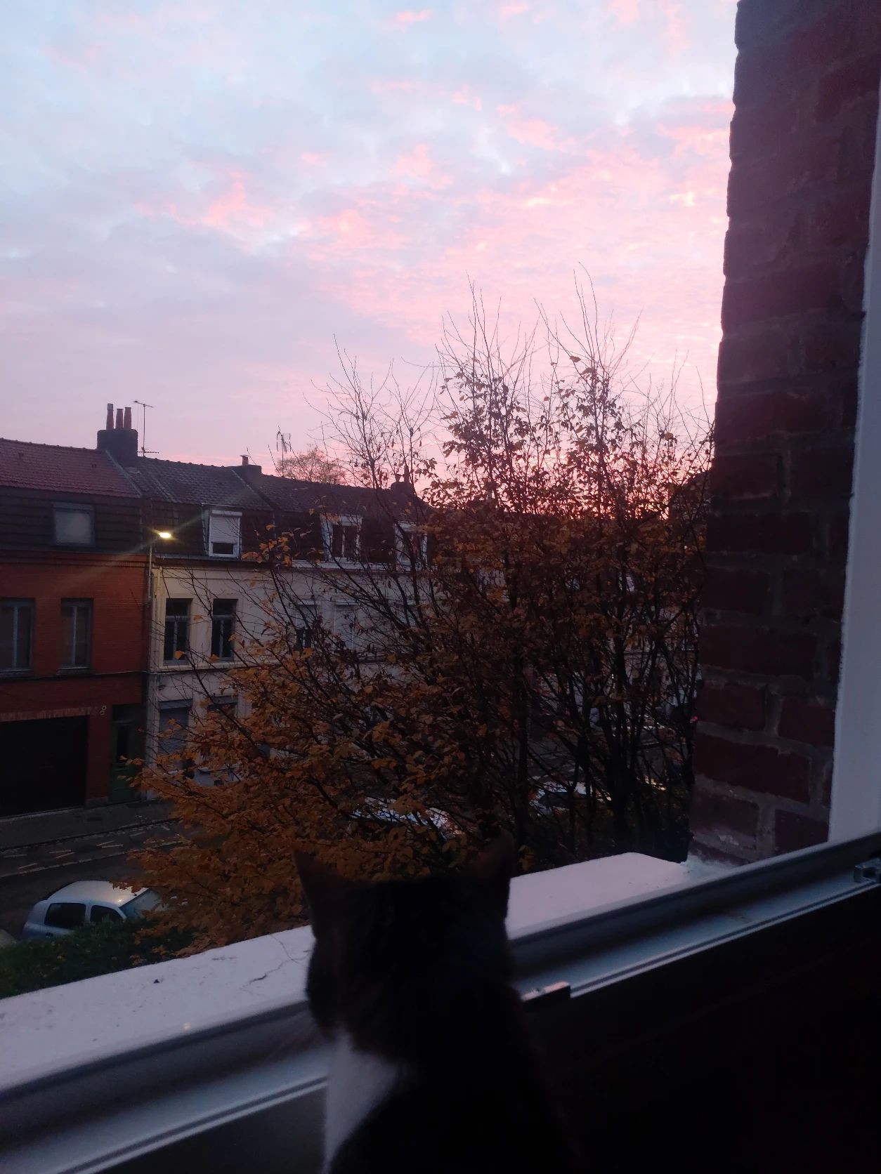 image-24