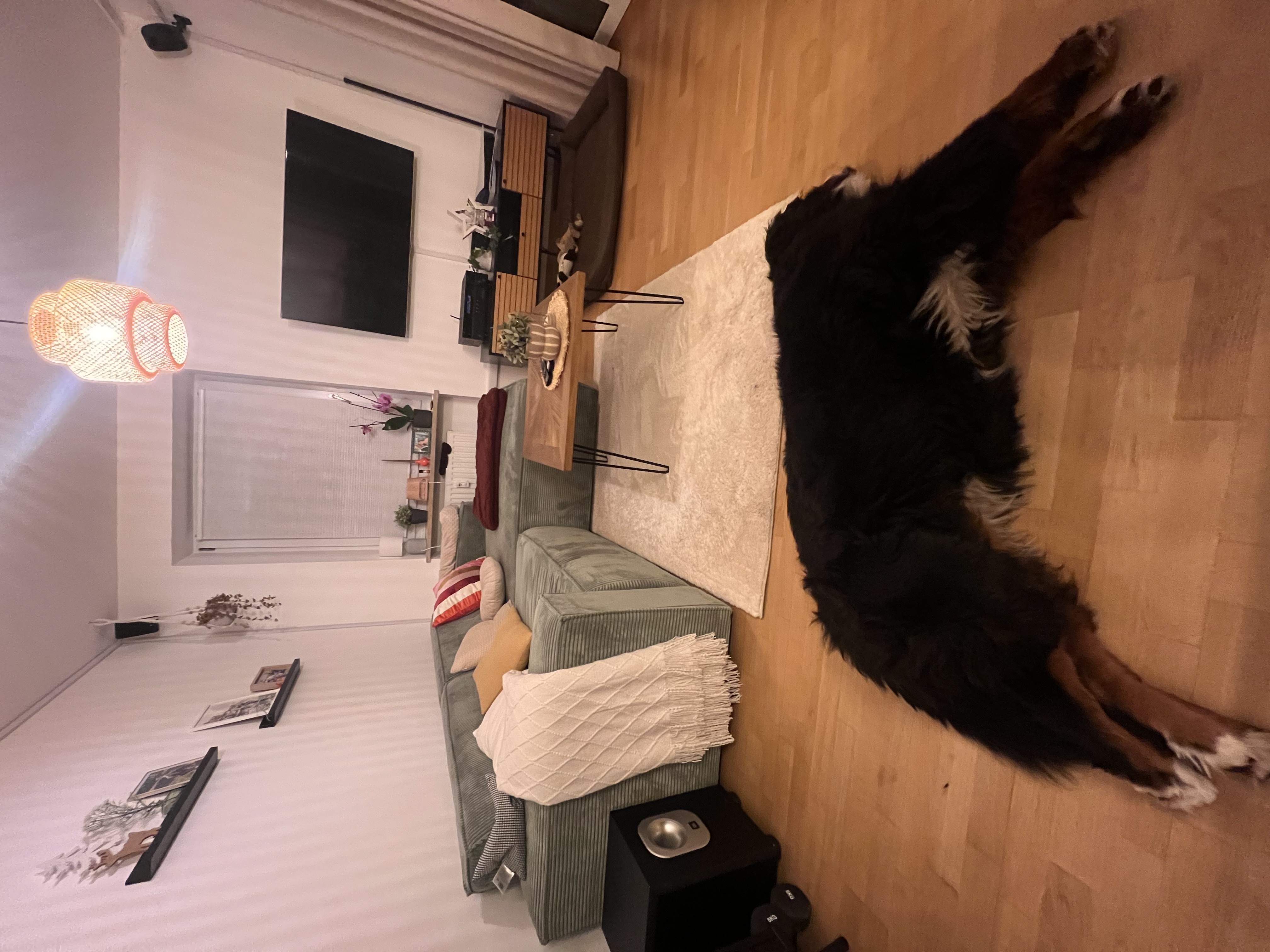 image-15