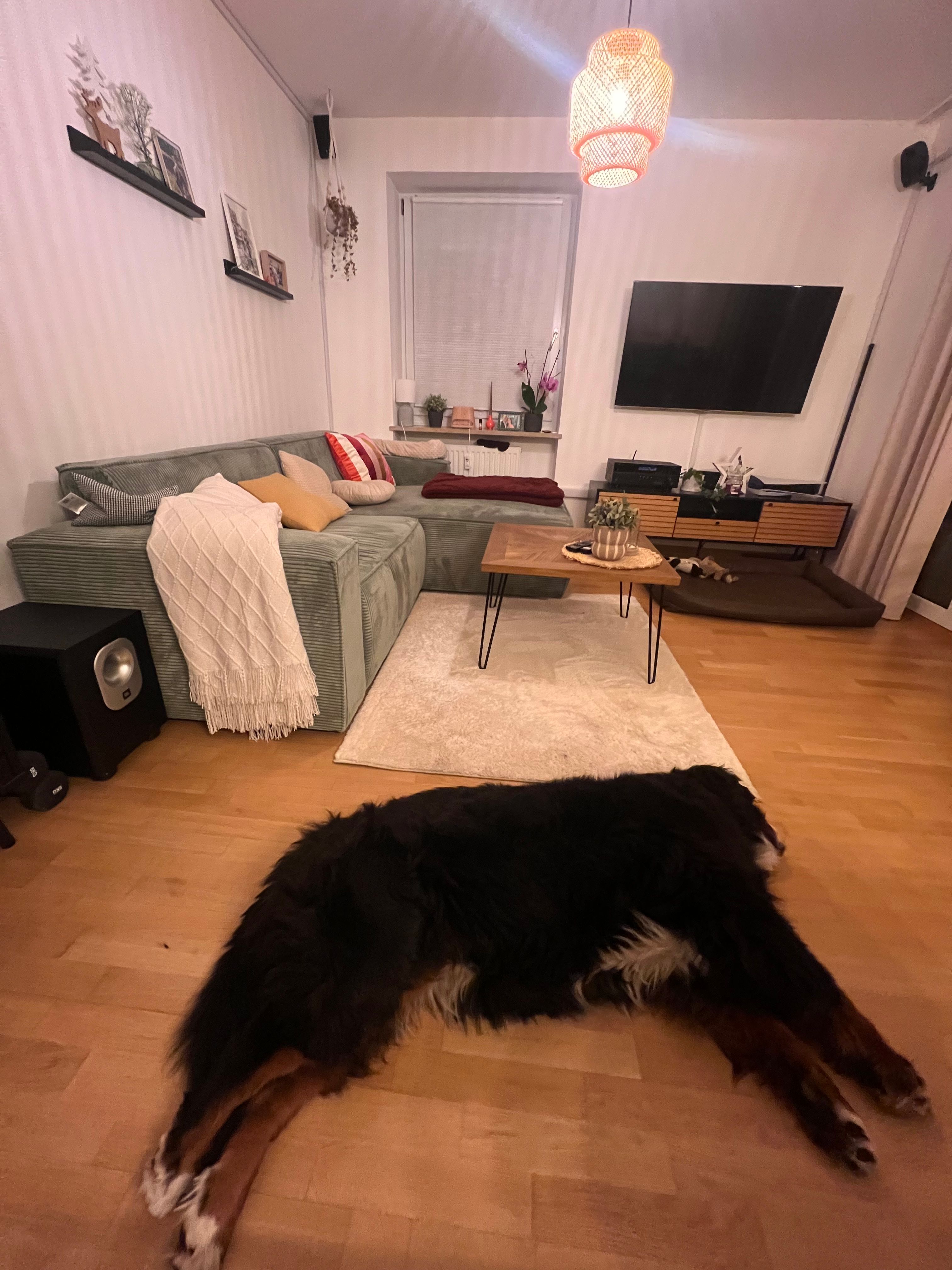 image-15