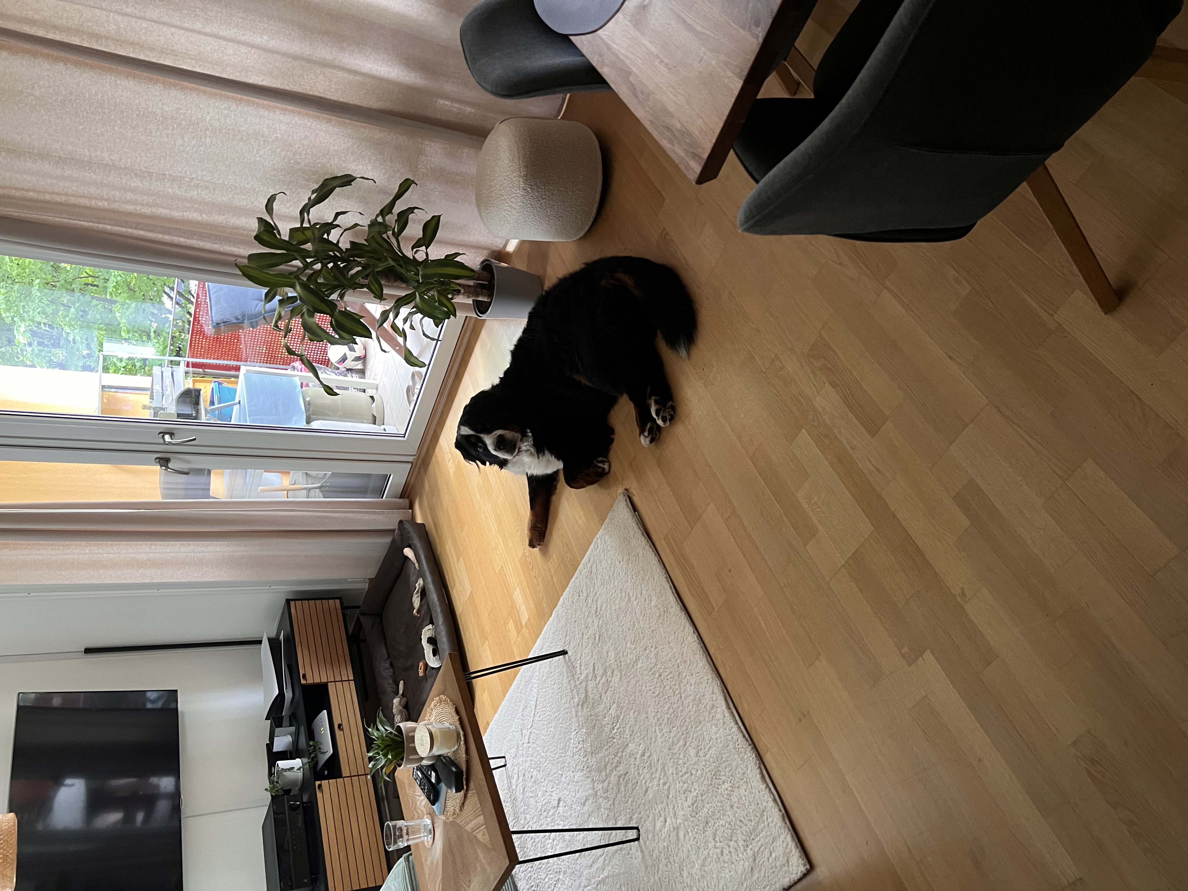 image-16