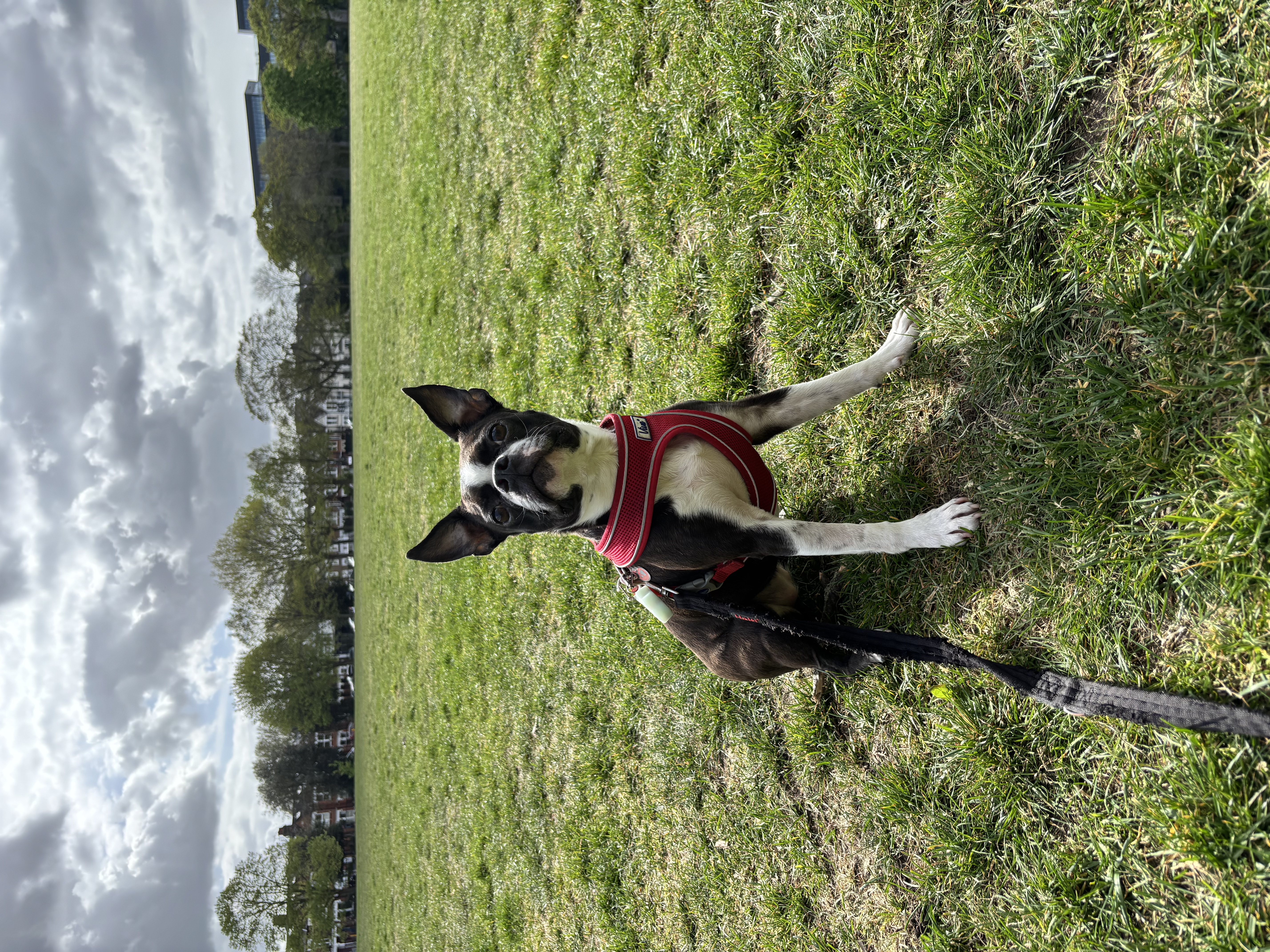 image-9