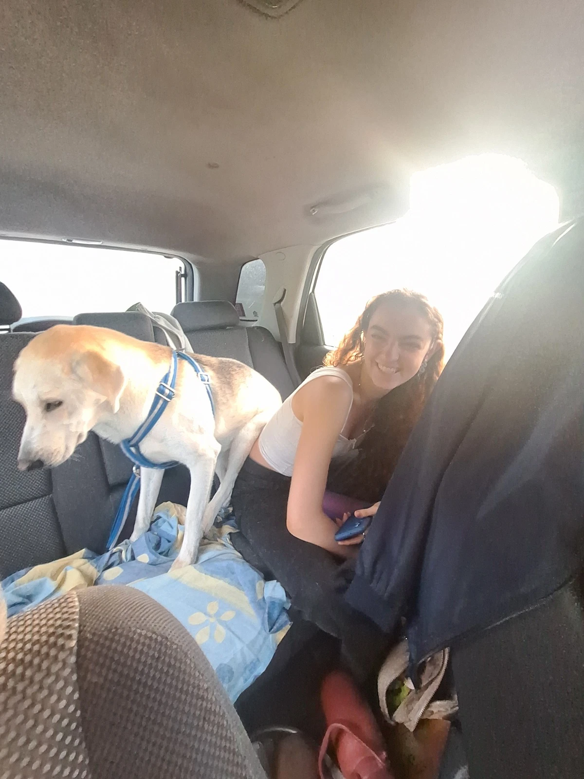 image-8