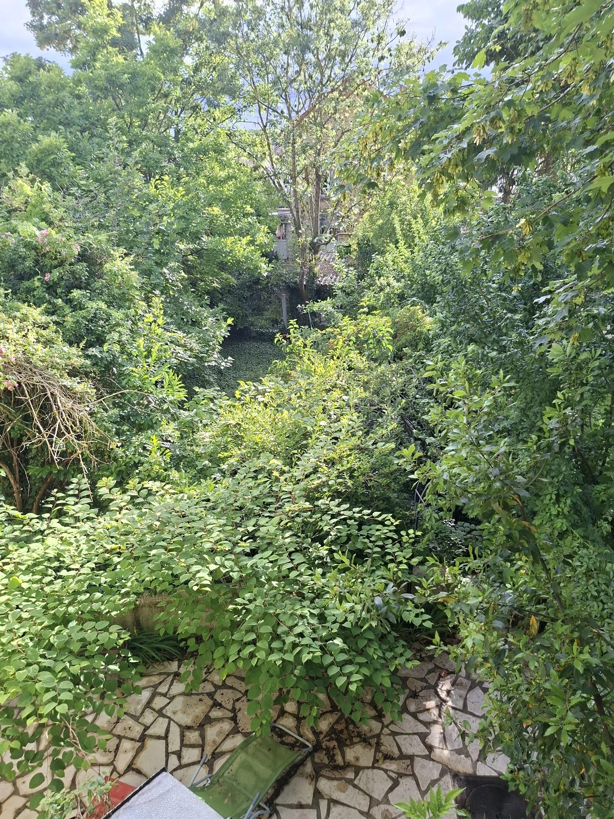 image-20