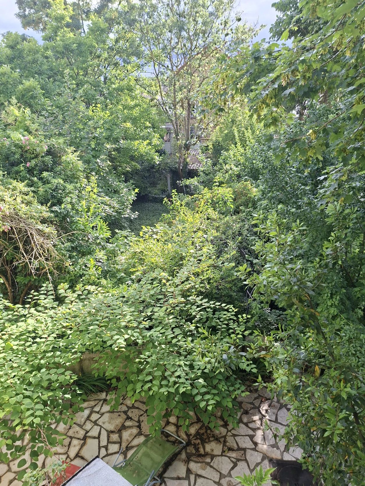image-20