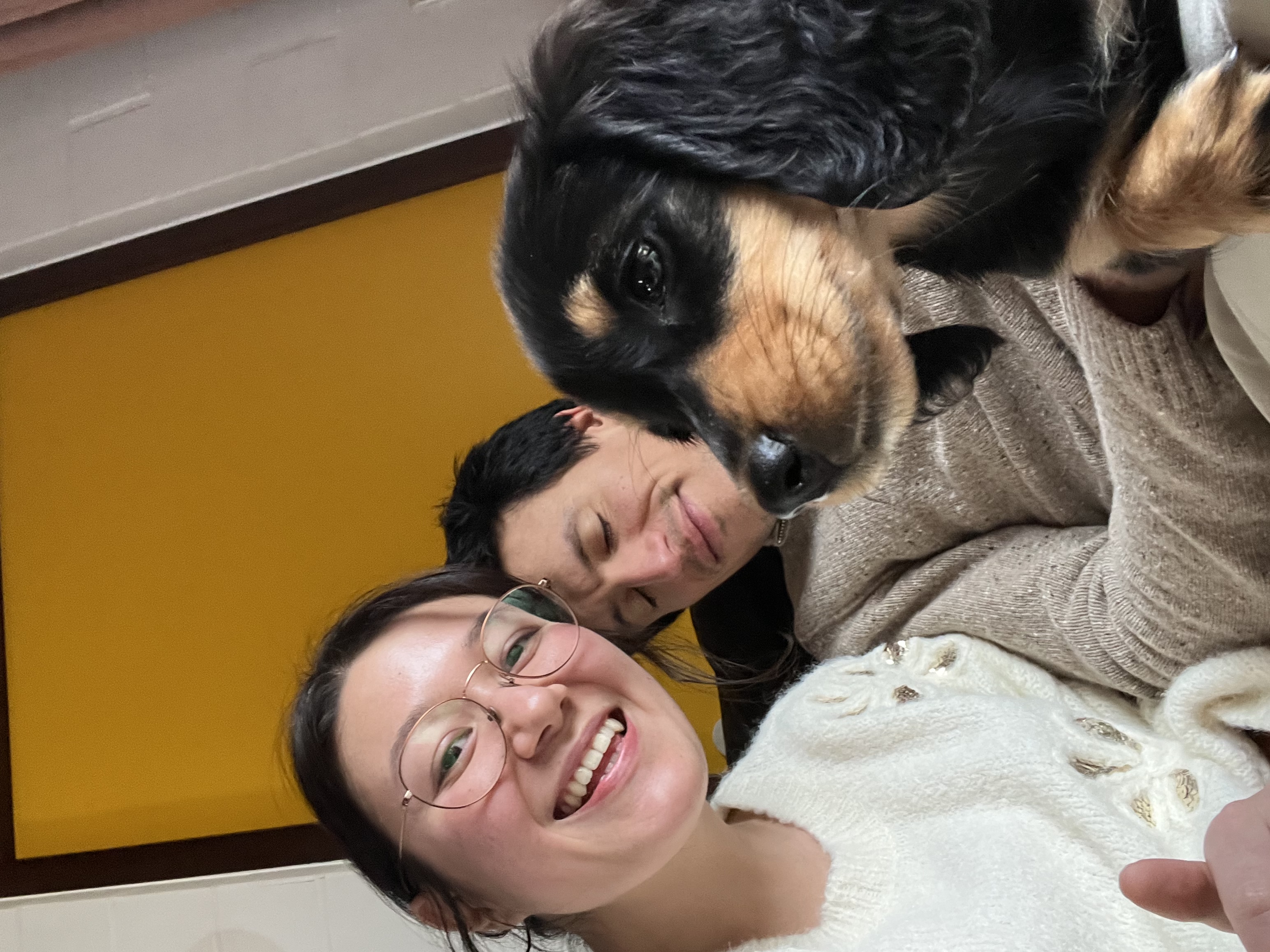 image-4