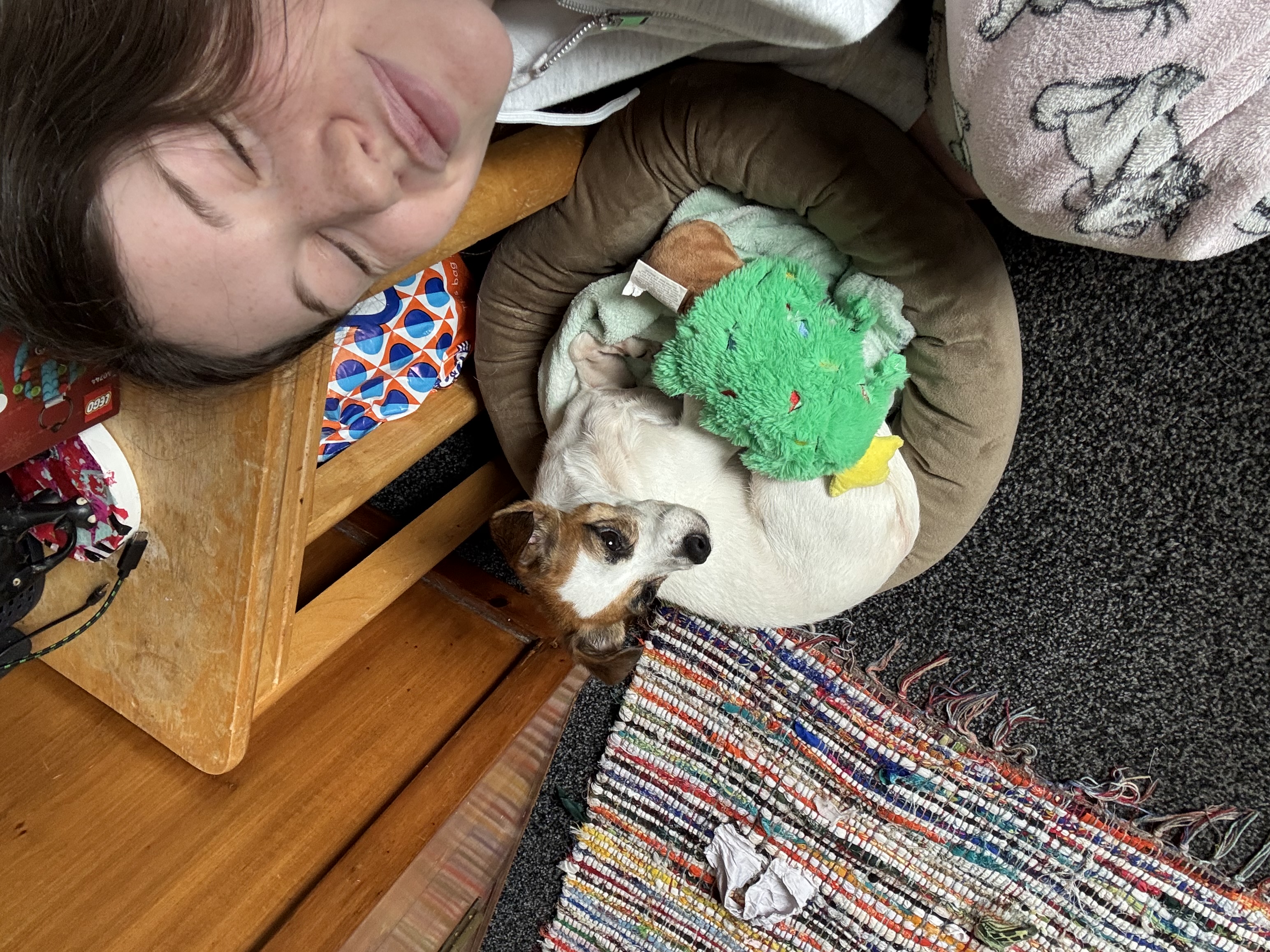 image-9