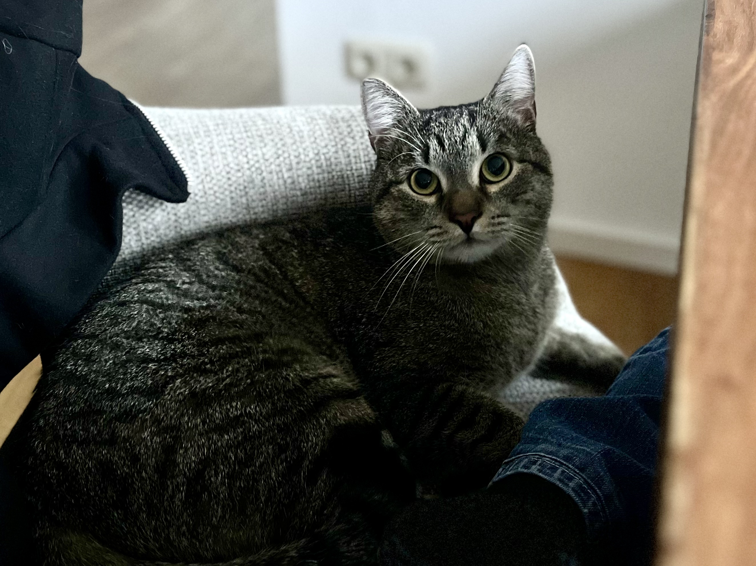 image-11
