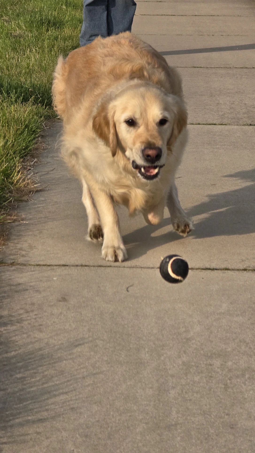 image-7