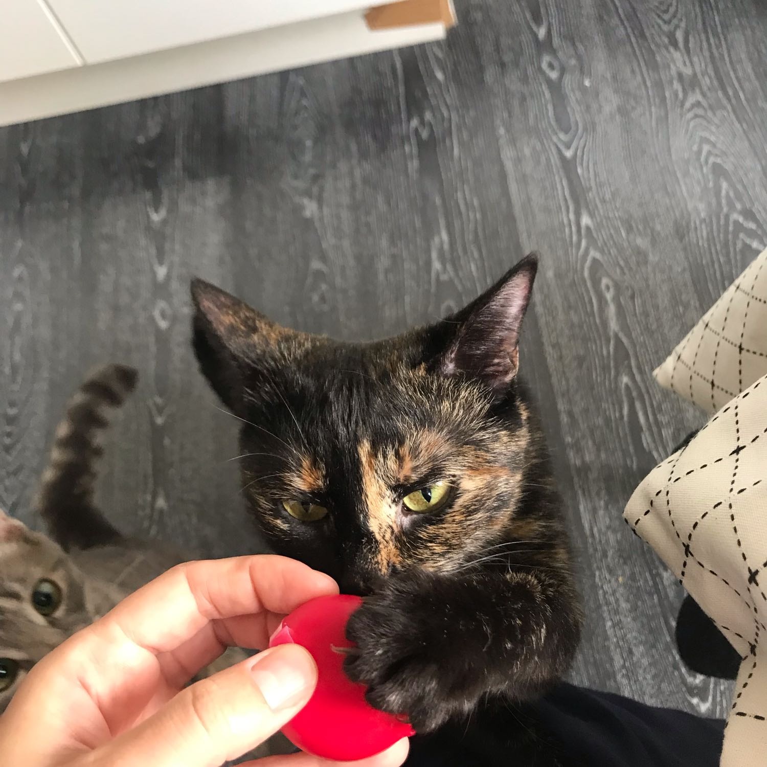 Margo