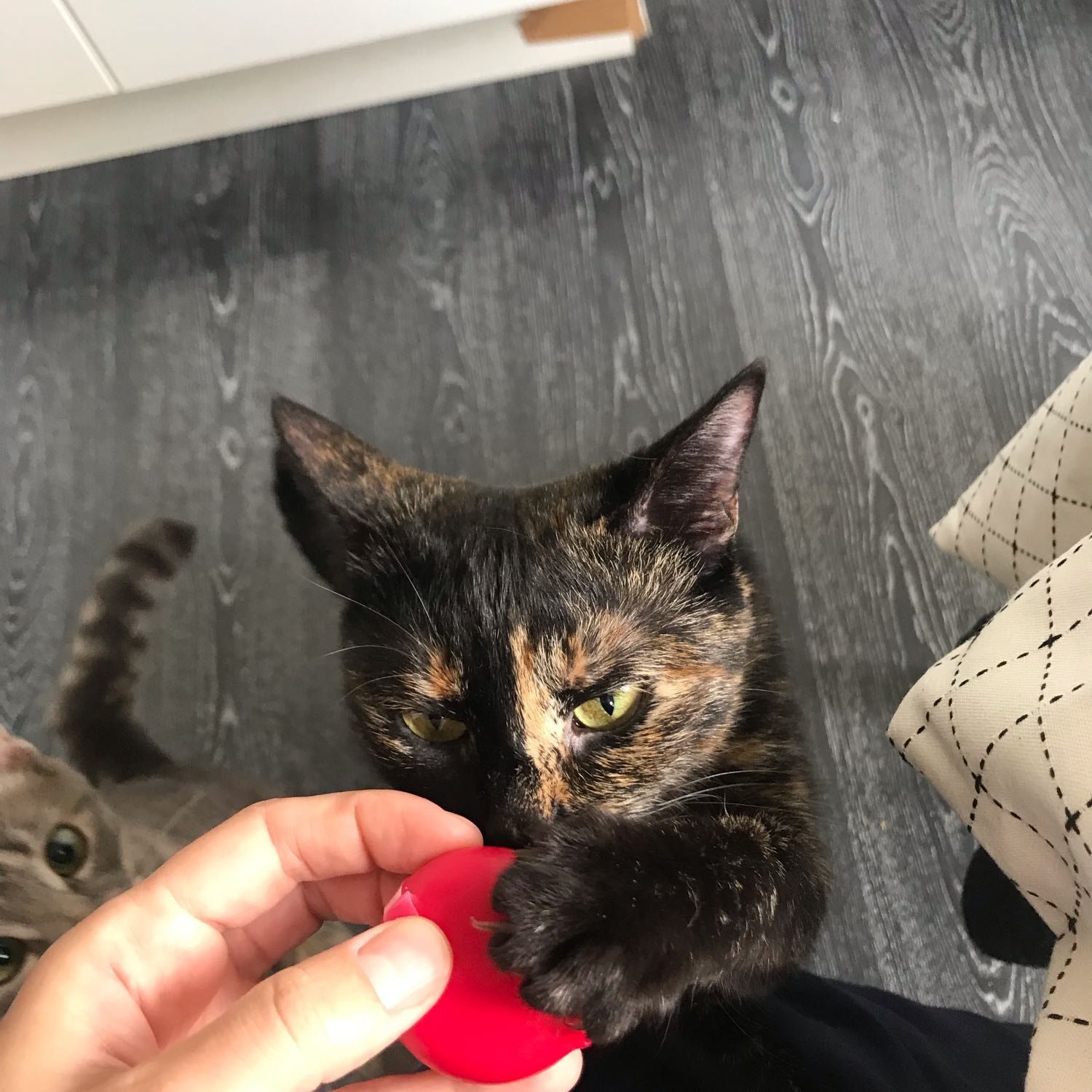 Margo