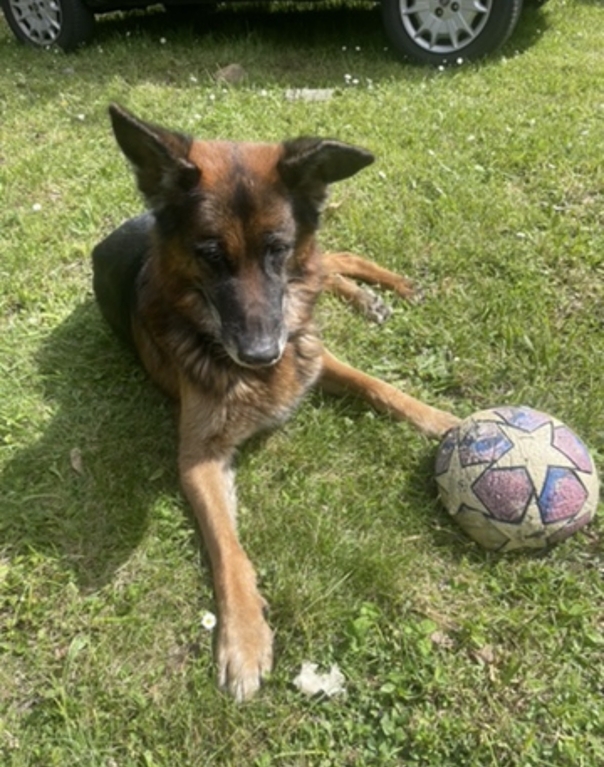 image-6