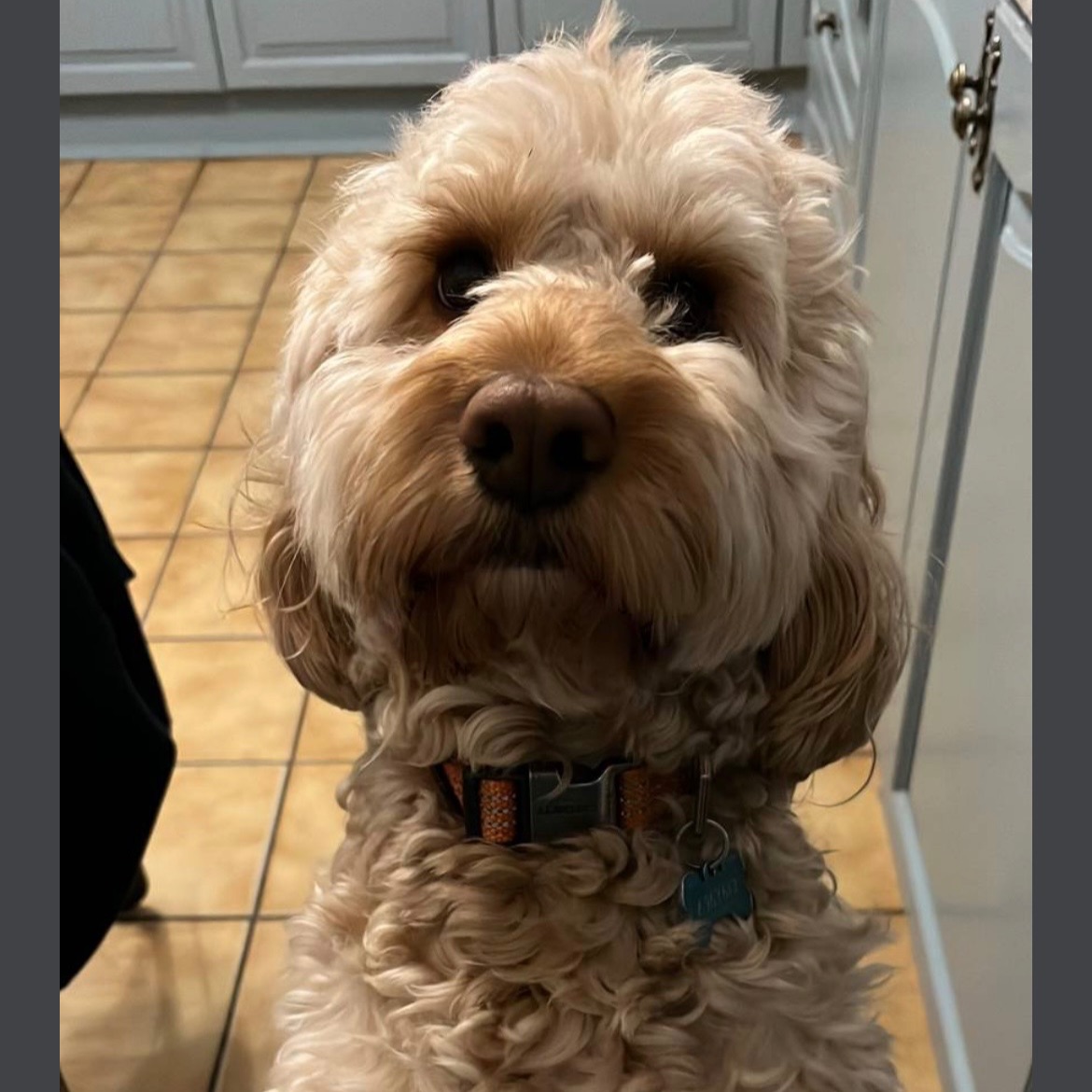 Diego