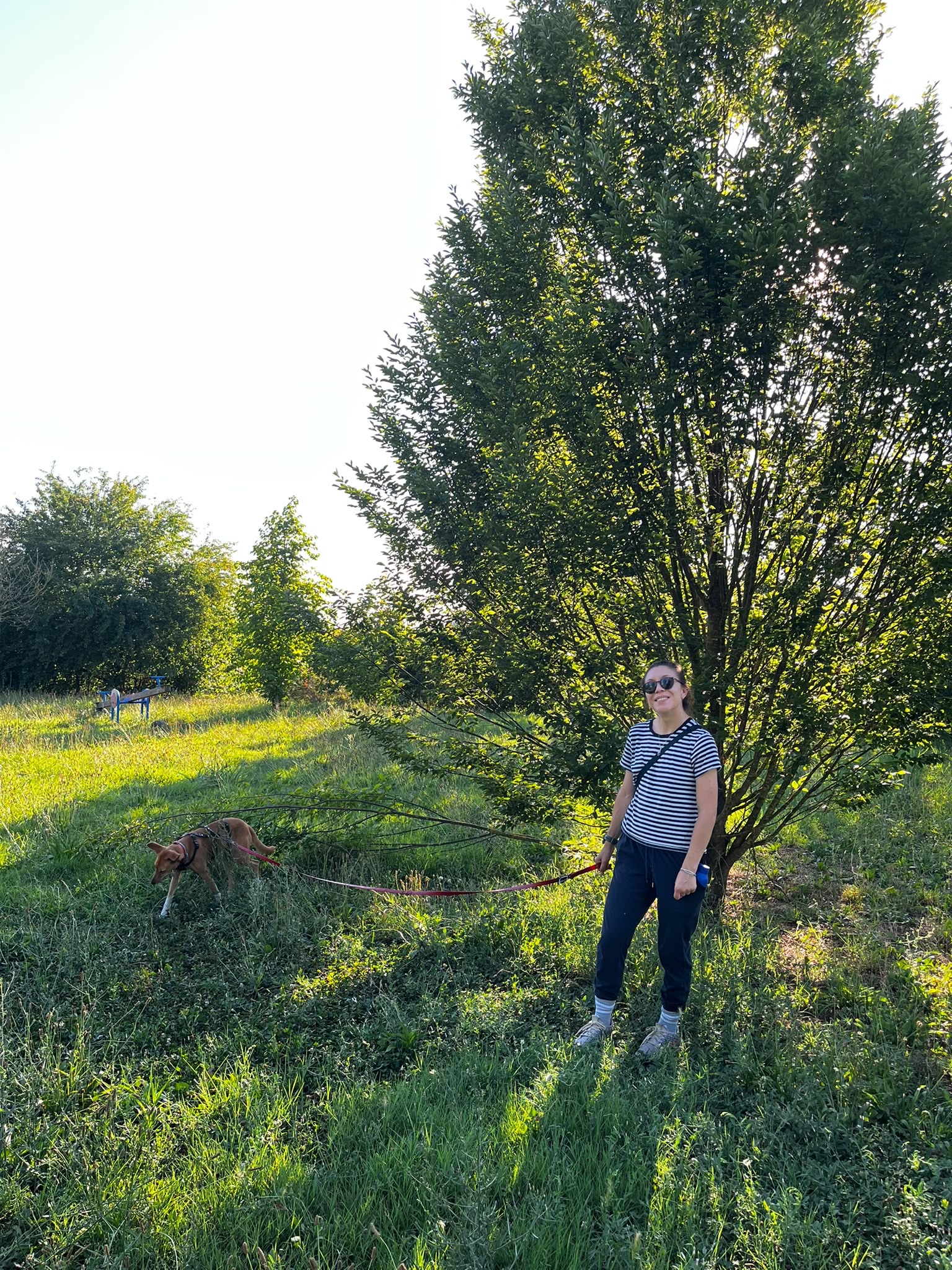 image-4