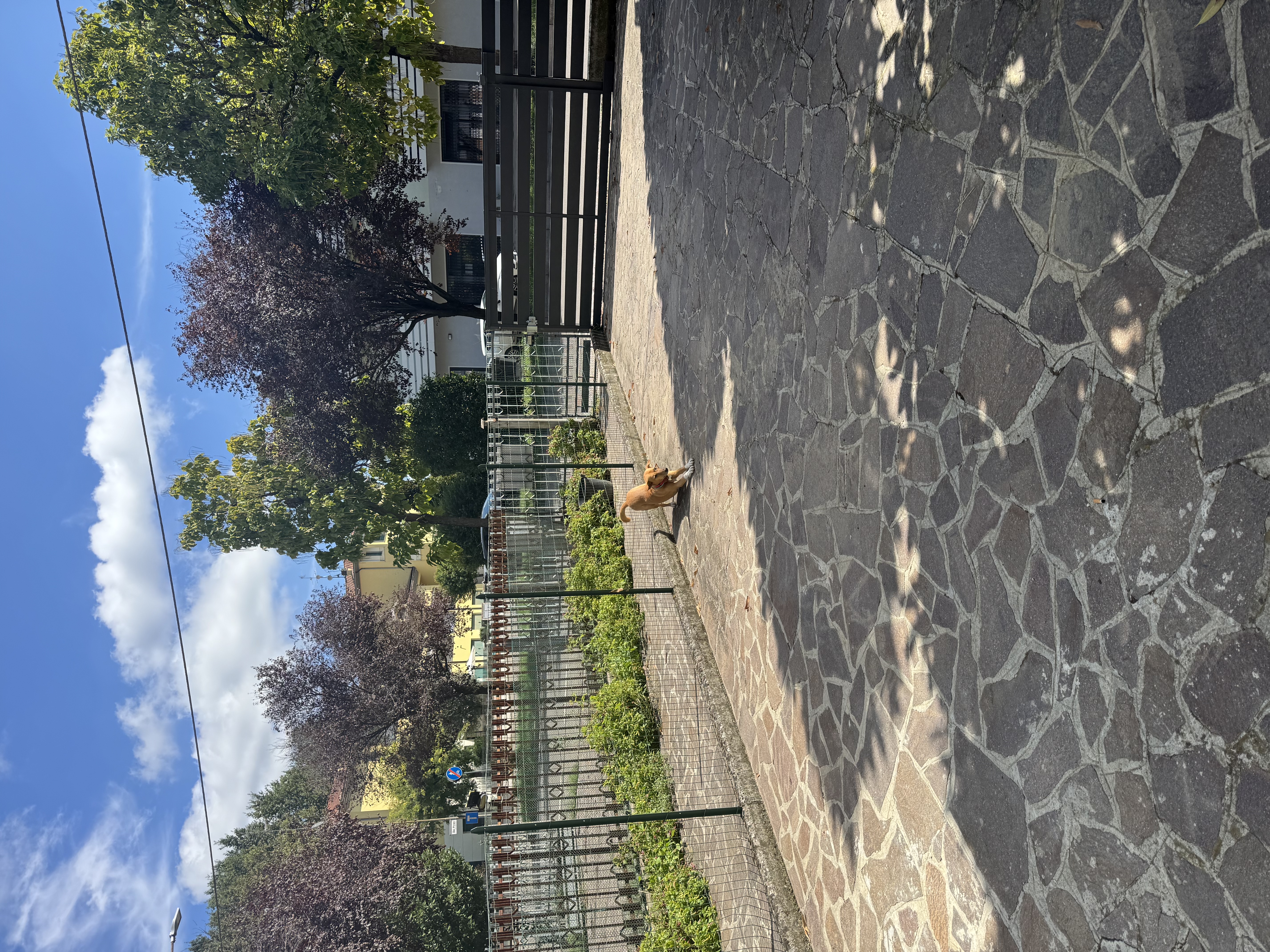 image-17